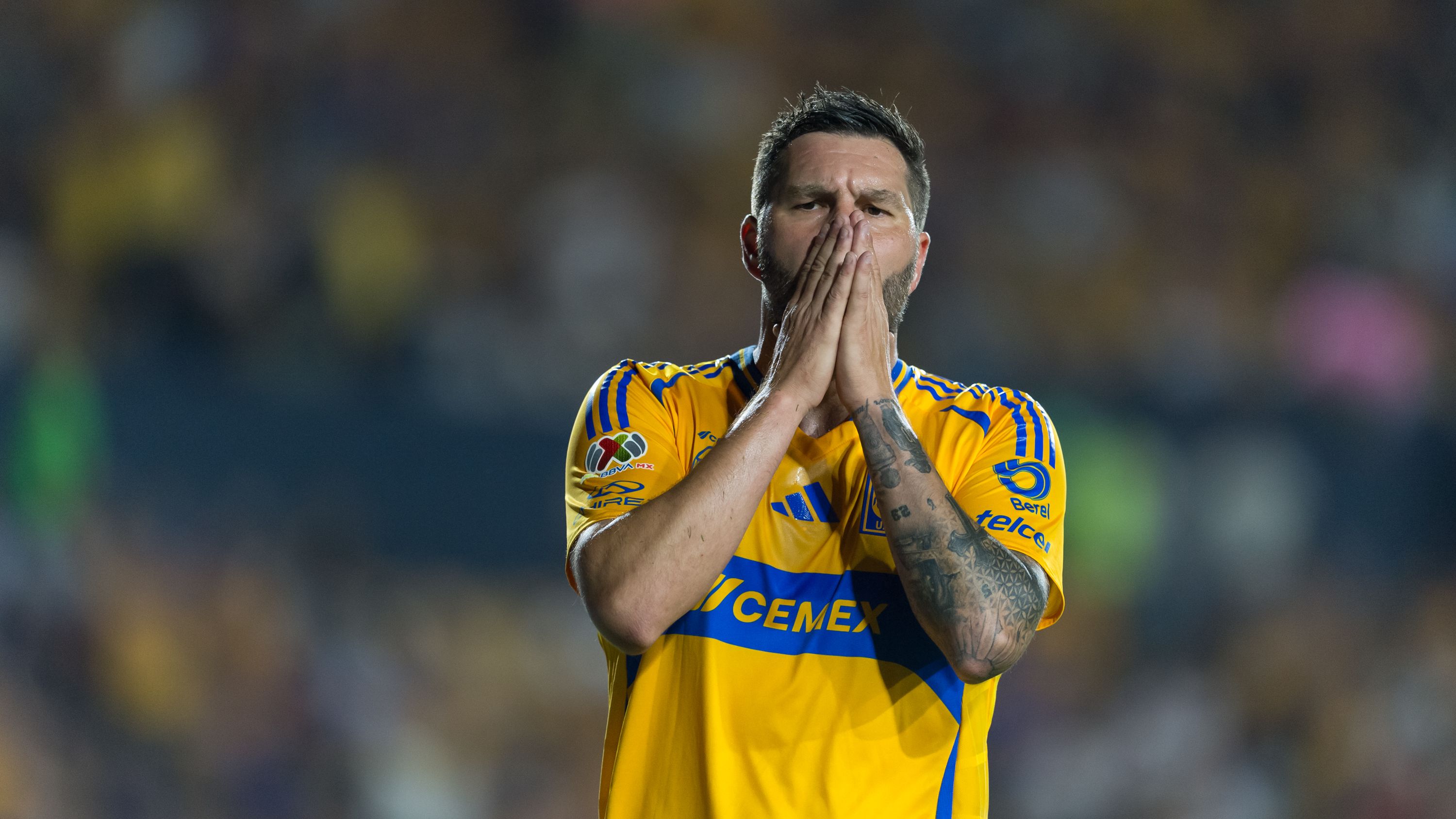 Tigres UANL v Toluca - Torneo Apertura 2024 Liga MX