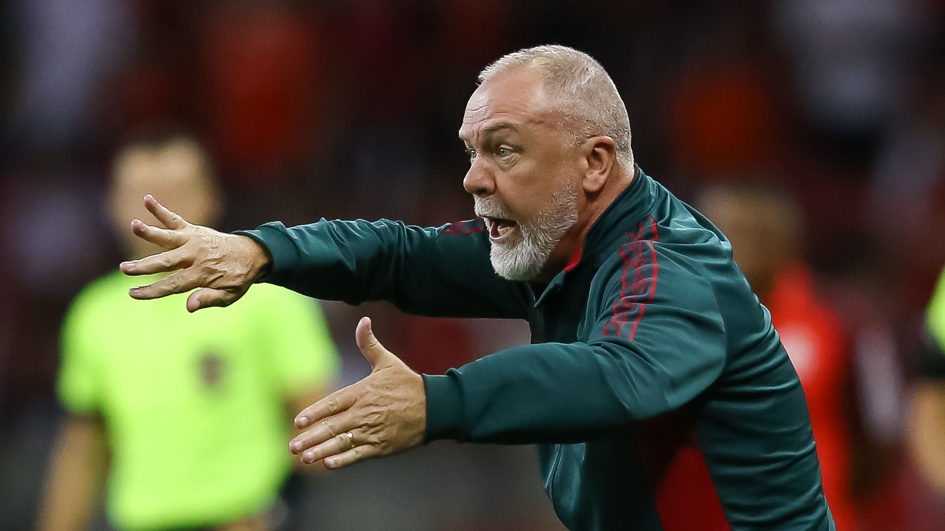 Internacional v Fluminense - Brasileirao 2024