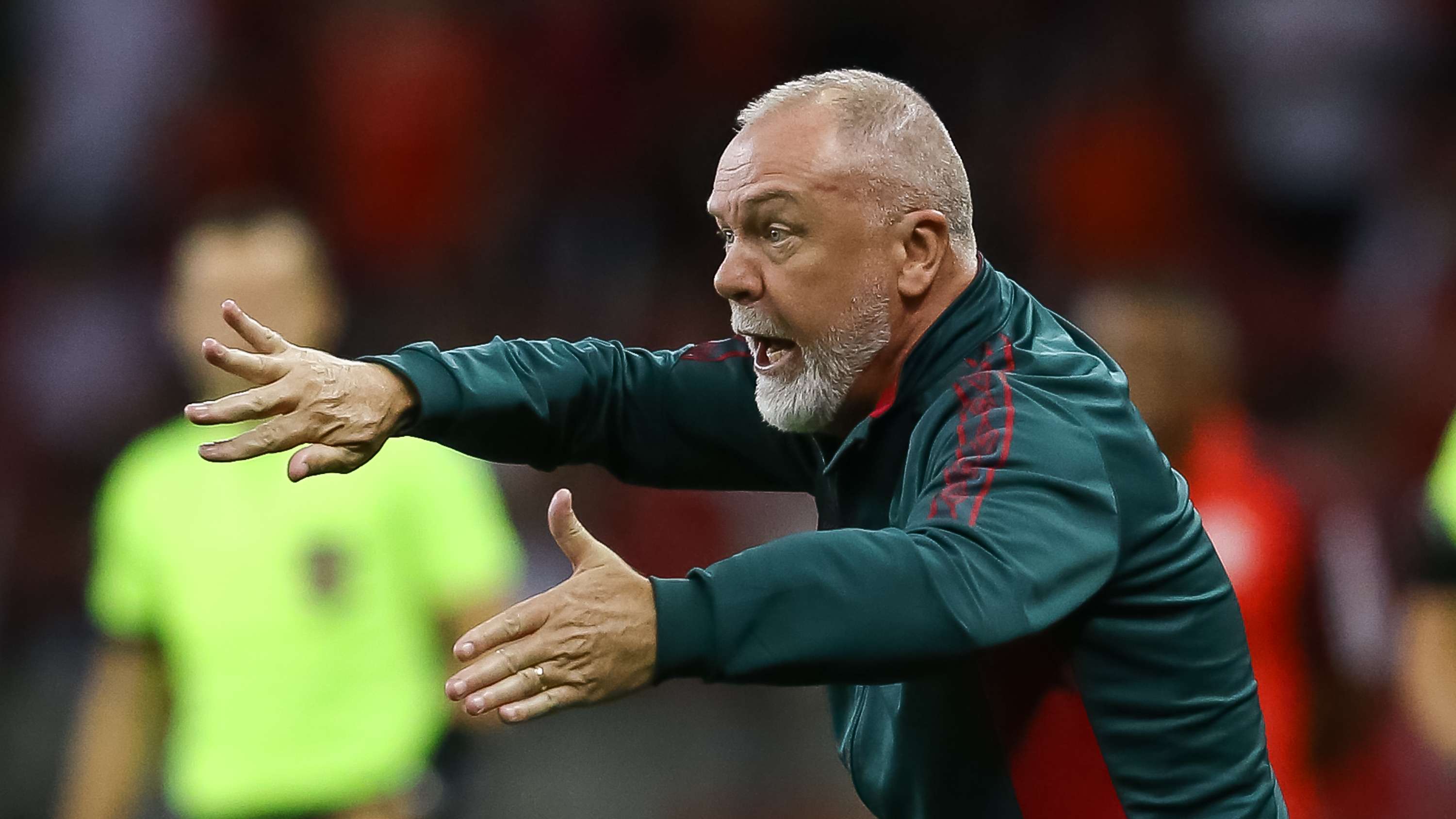 Internacional v Fluminense - Brasileirao 2024