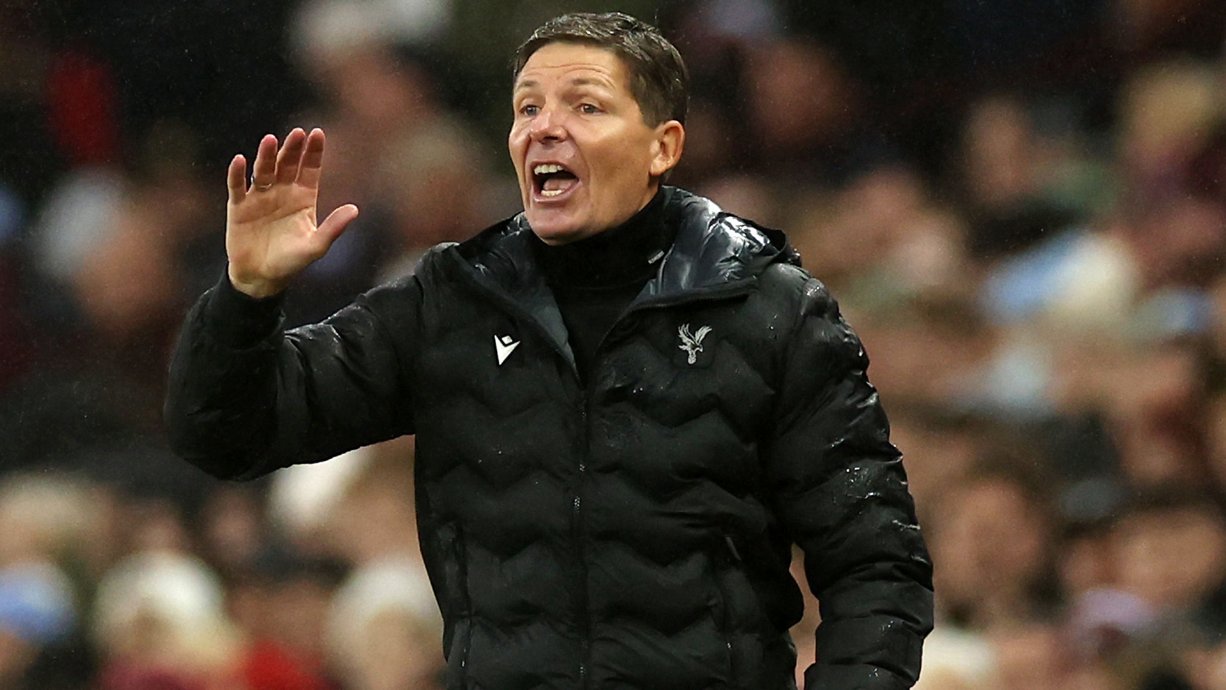 Aston Villa FC v Crystal Palace FC - Premier League