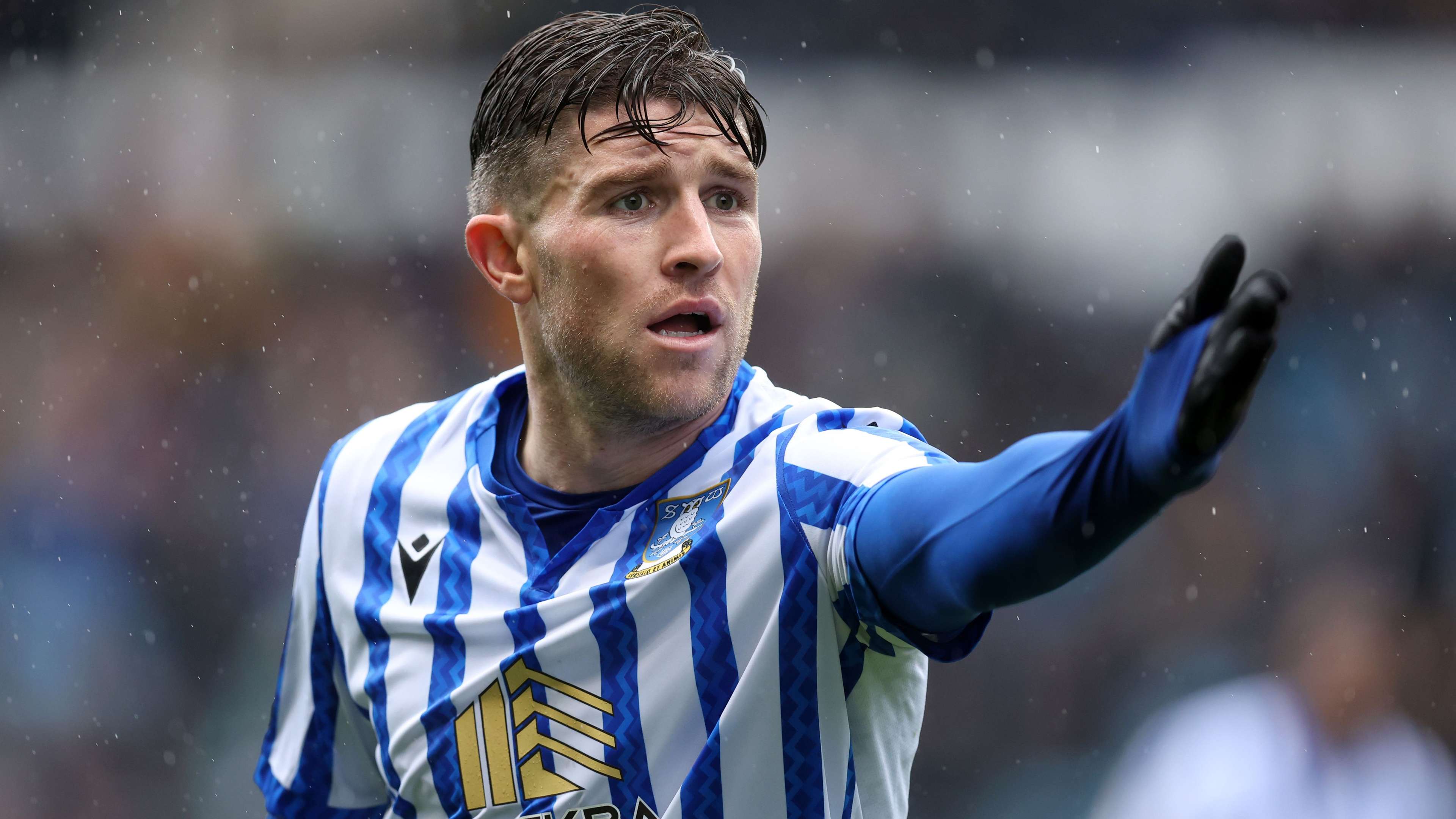 Sheffield Wednesday FC v Cardiff City FC - Sky Bet Championship