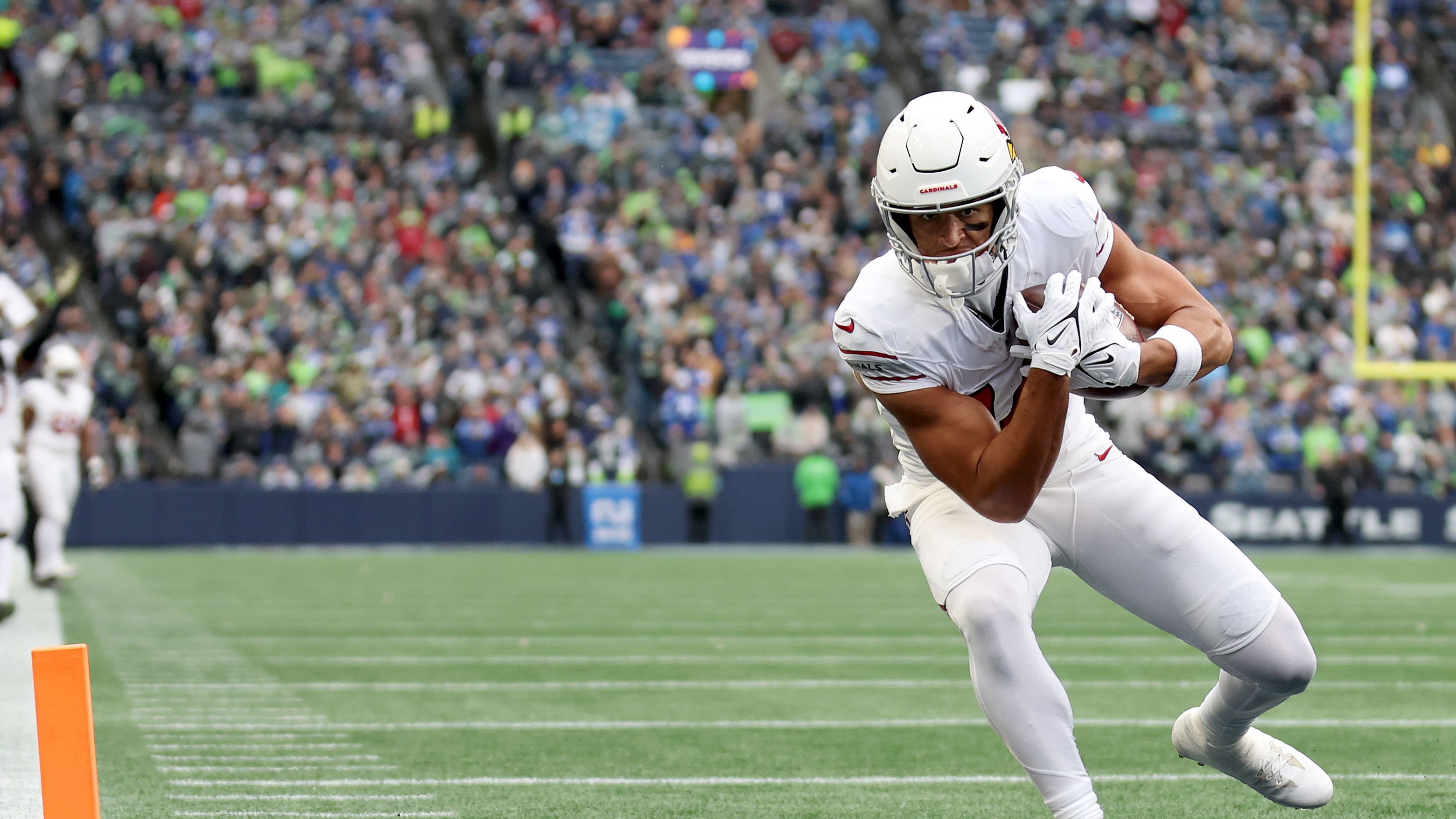Arizona Cardinals v Seattle Seahawks