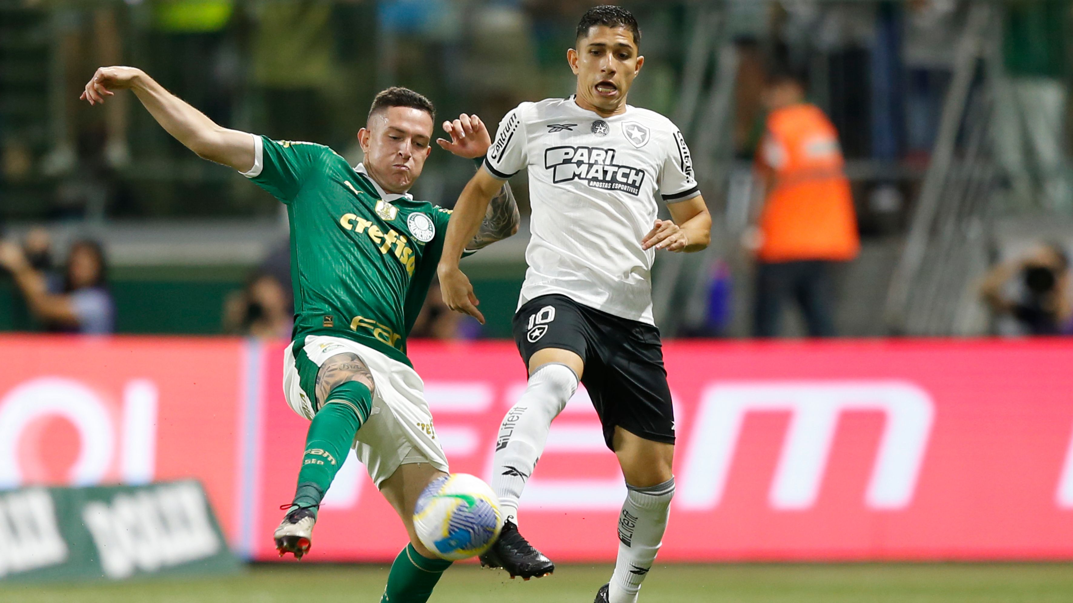 Palmeiras v Botafogo - Brasileirao 2024