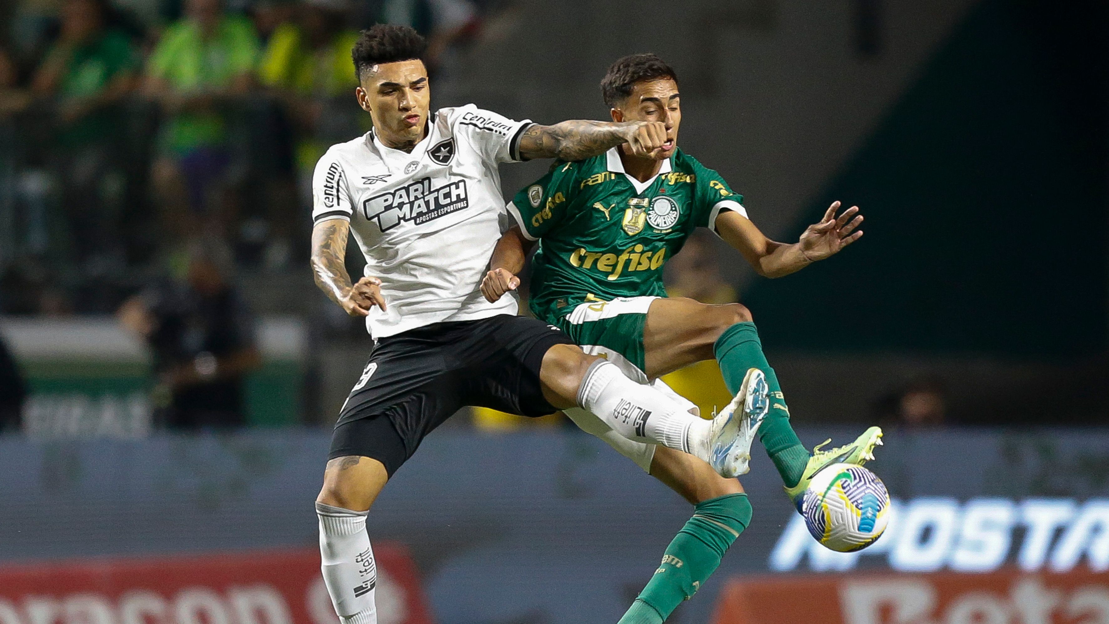 Palmeiras v Botafogo - Brasileirao 2024
