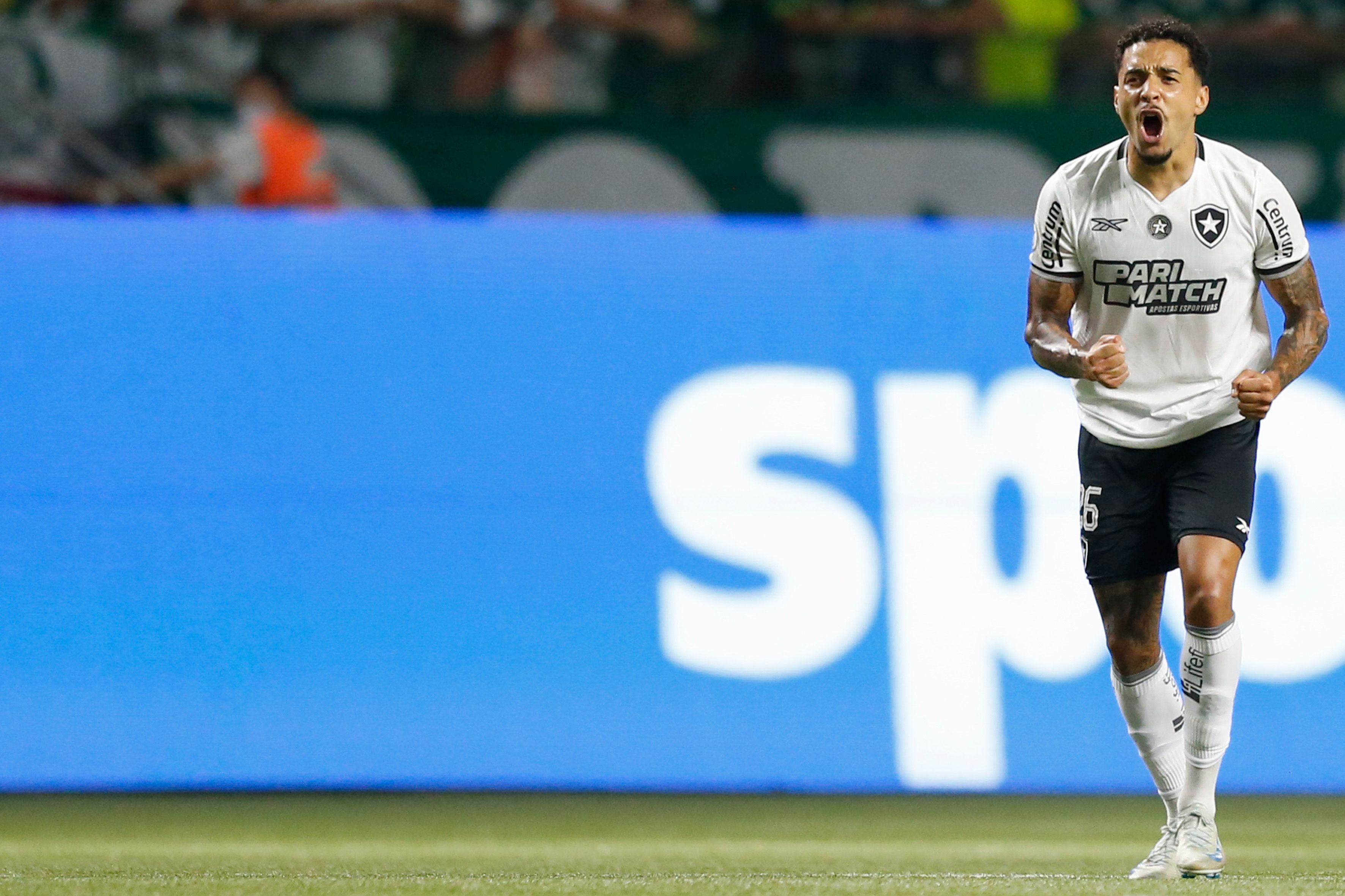 Palmeiras v Botafogo - Brasileirao 2024