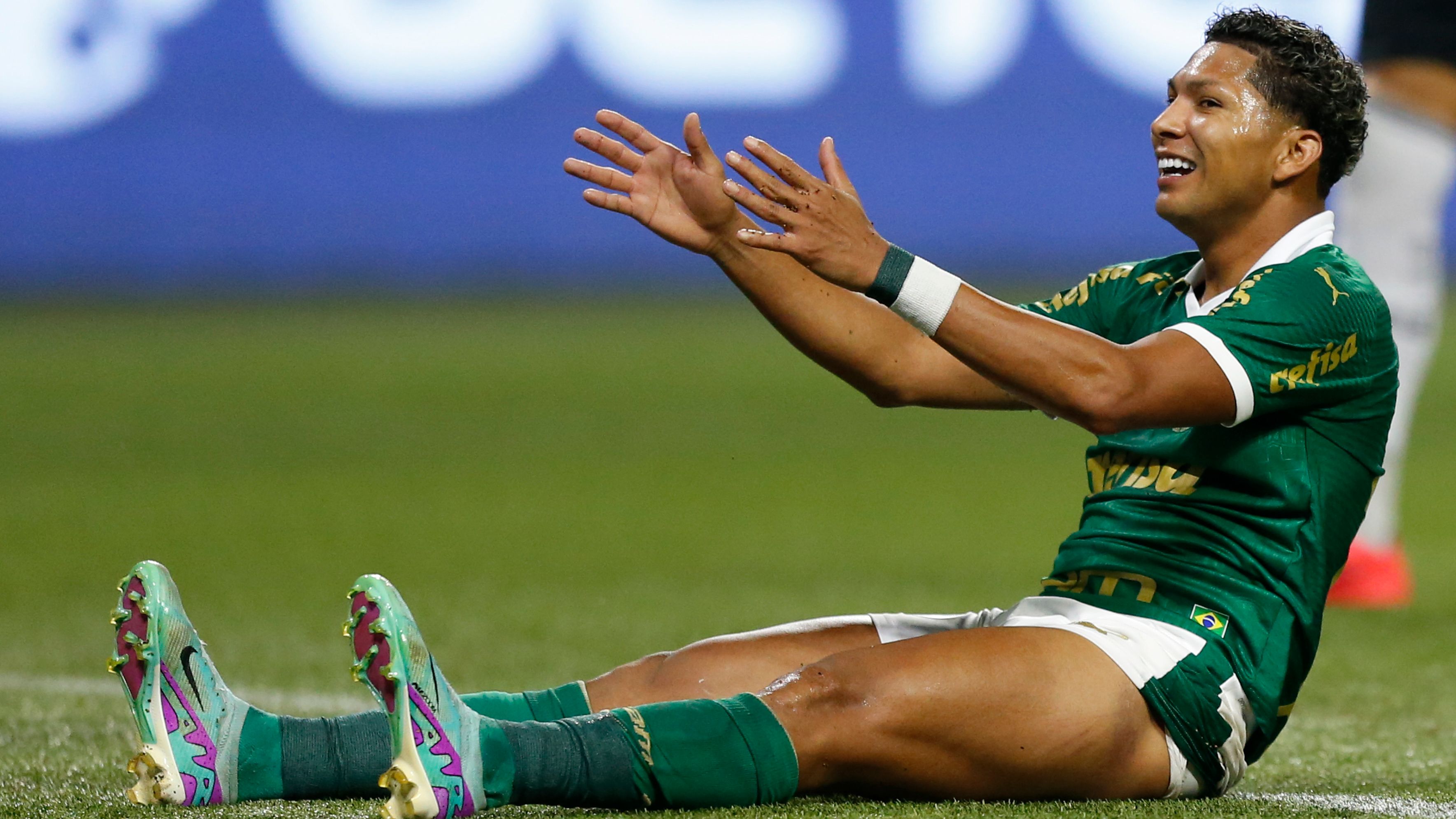 Palmeiras v Botafogo - Brasileirao 2024