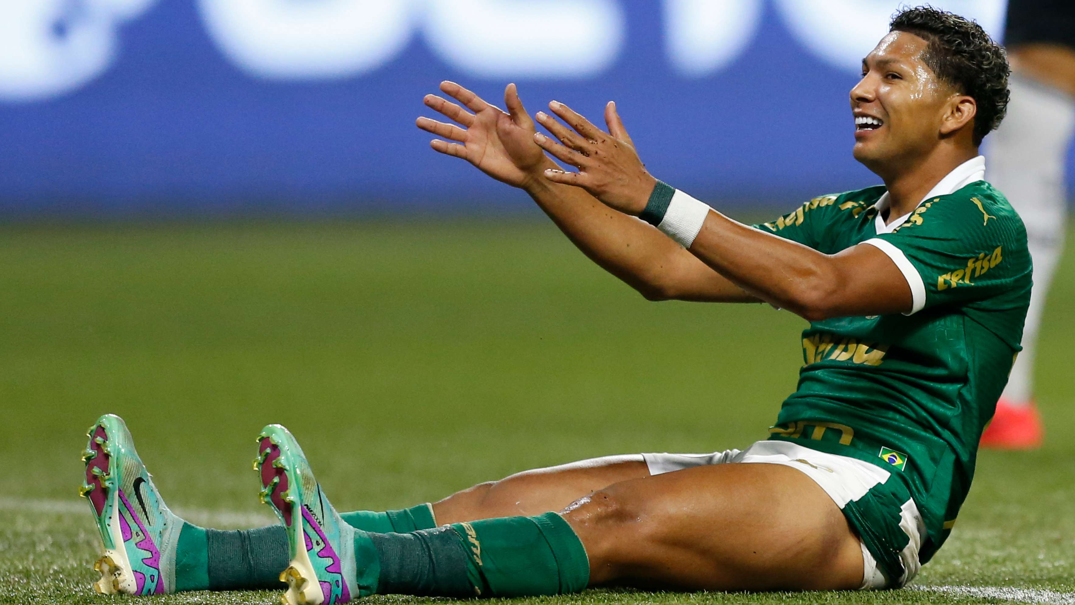 Palmeiras v Botafogo - Brasileirao 2024