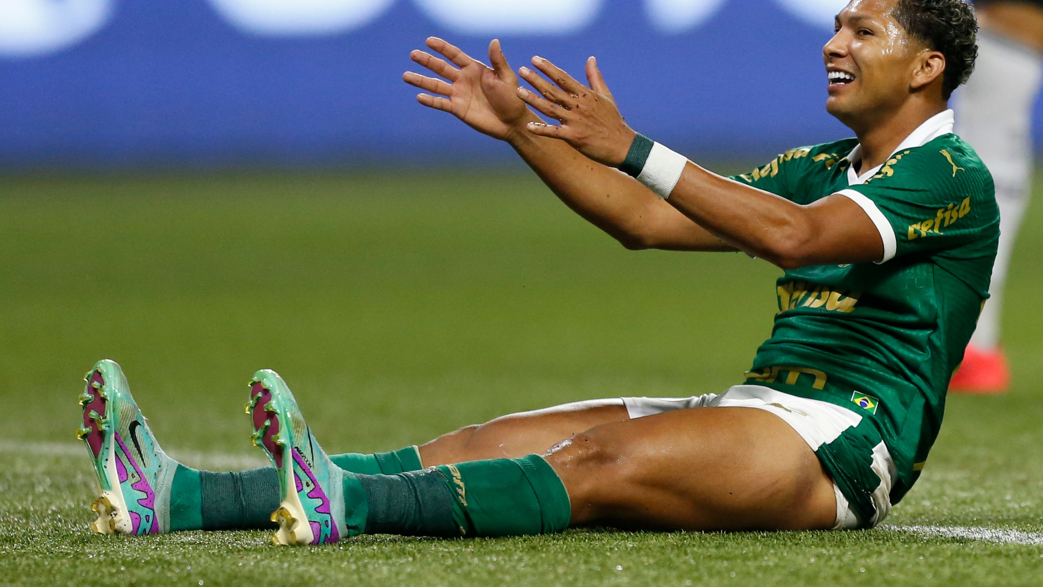 Palmeiras v Botafogo - Brasileirao 2024