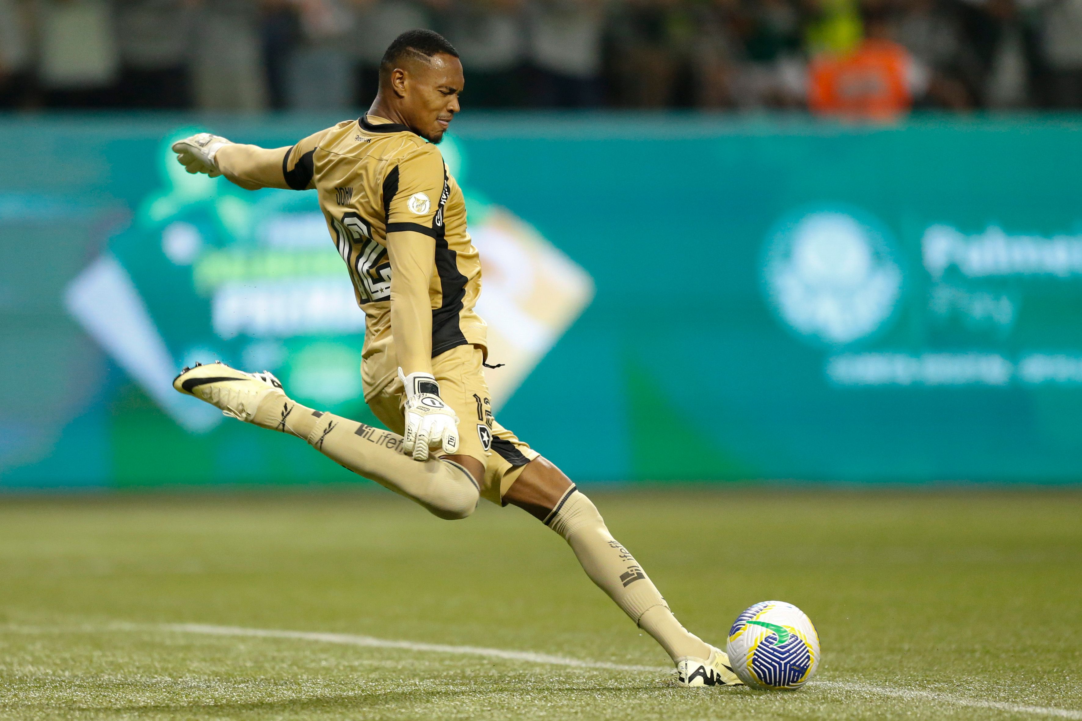 Palmeiras v Botafogo - Brasileirao 2024