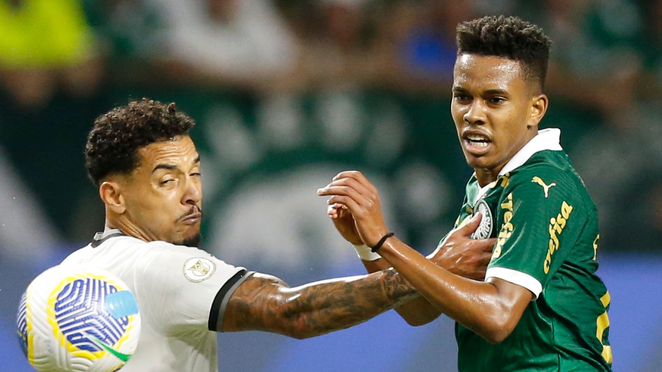 Palmeiras v Botafogo - Brasileirao 2024