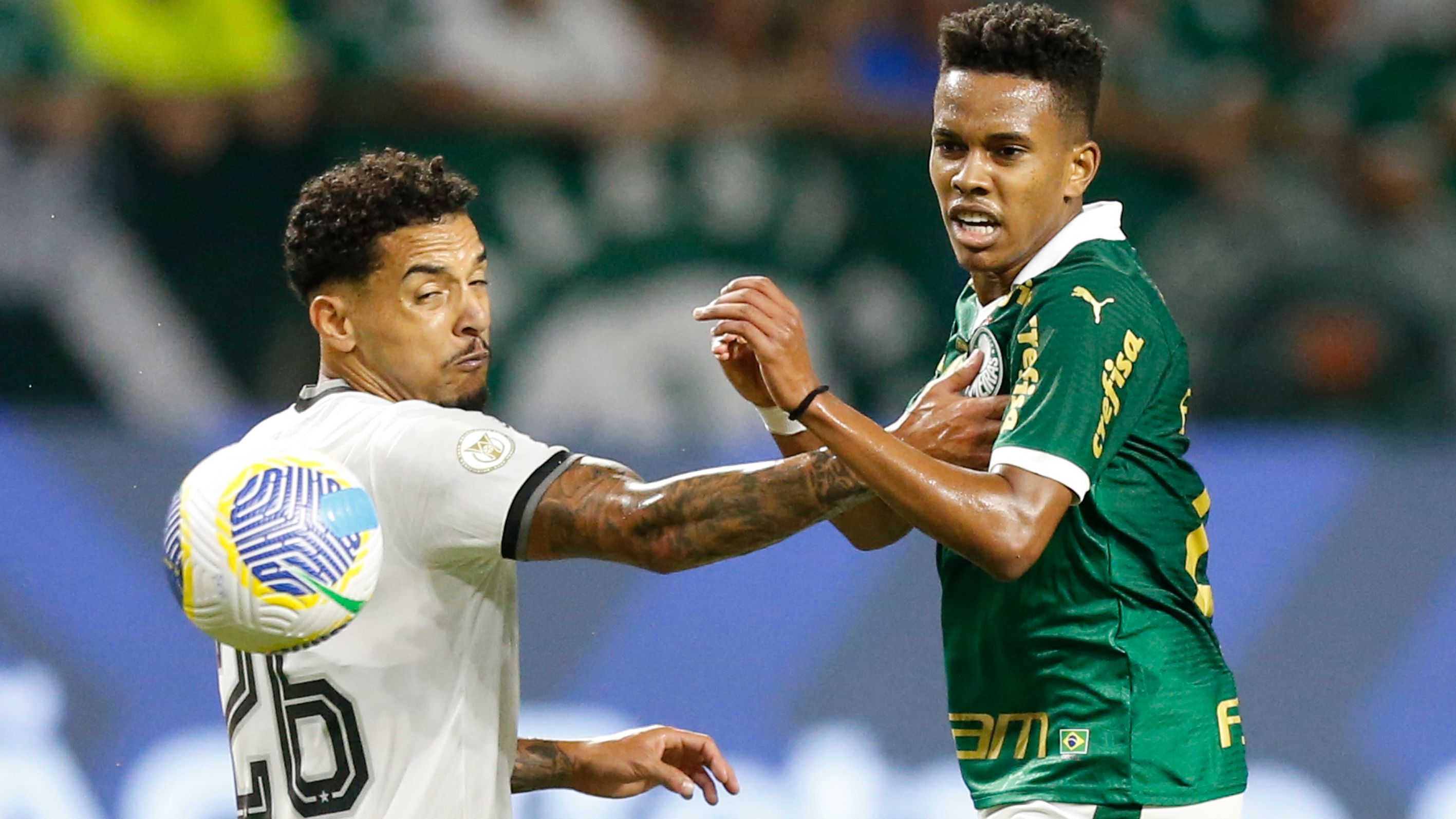 Palmeiras v Botafogo - Brasileirao 2024