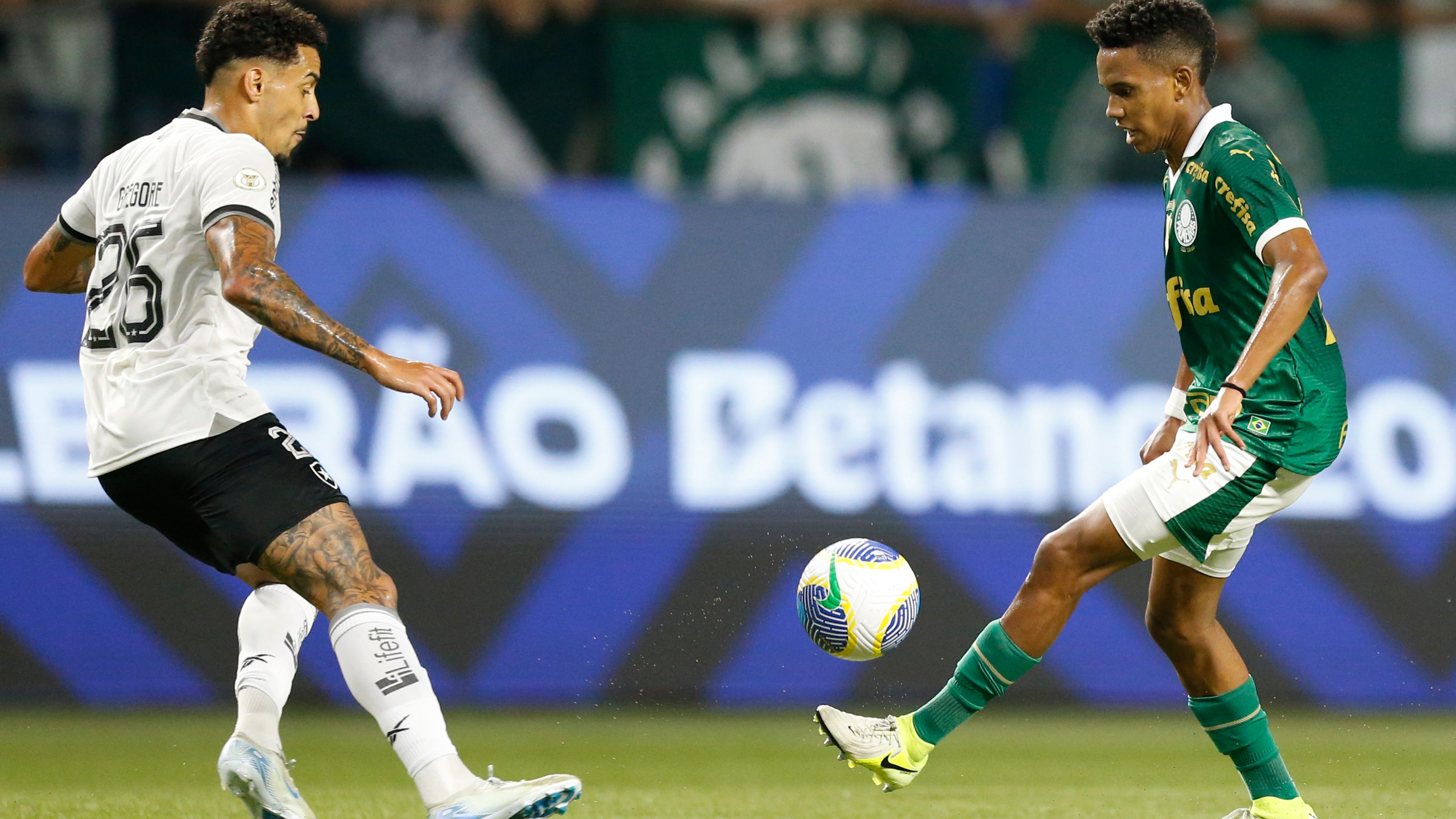 Palmeiras v Botafogo - Brasileirao 2024