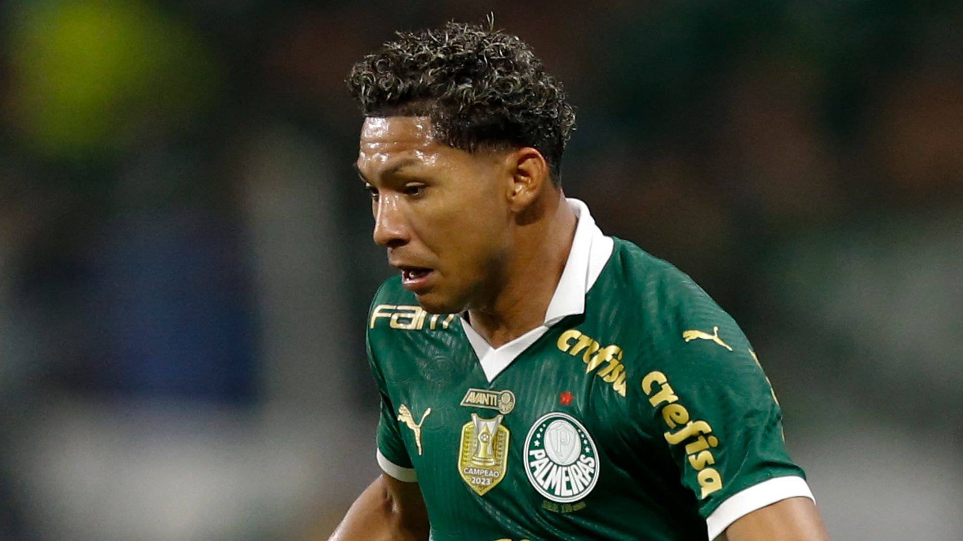 Palmeiras v Botafogo - Brasileirao 2024