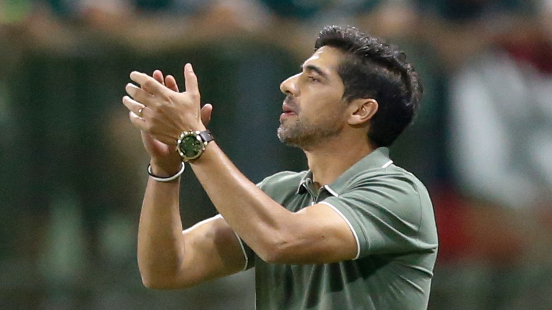 Palmeiras v Botafogo - Brasileirao 2024