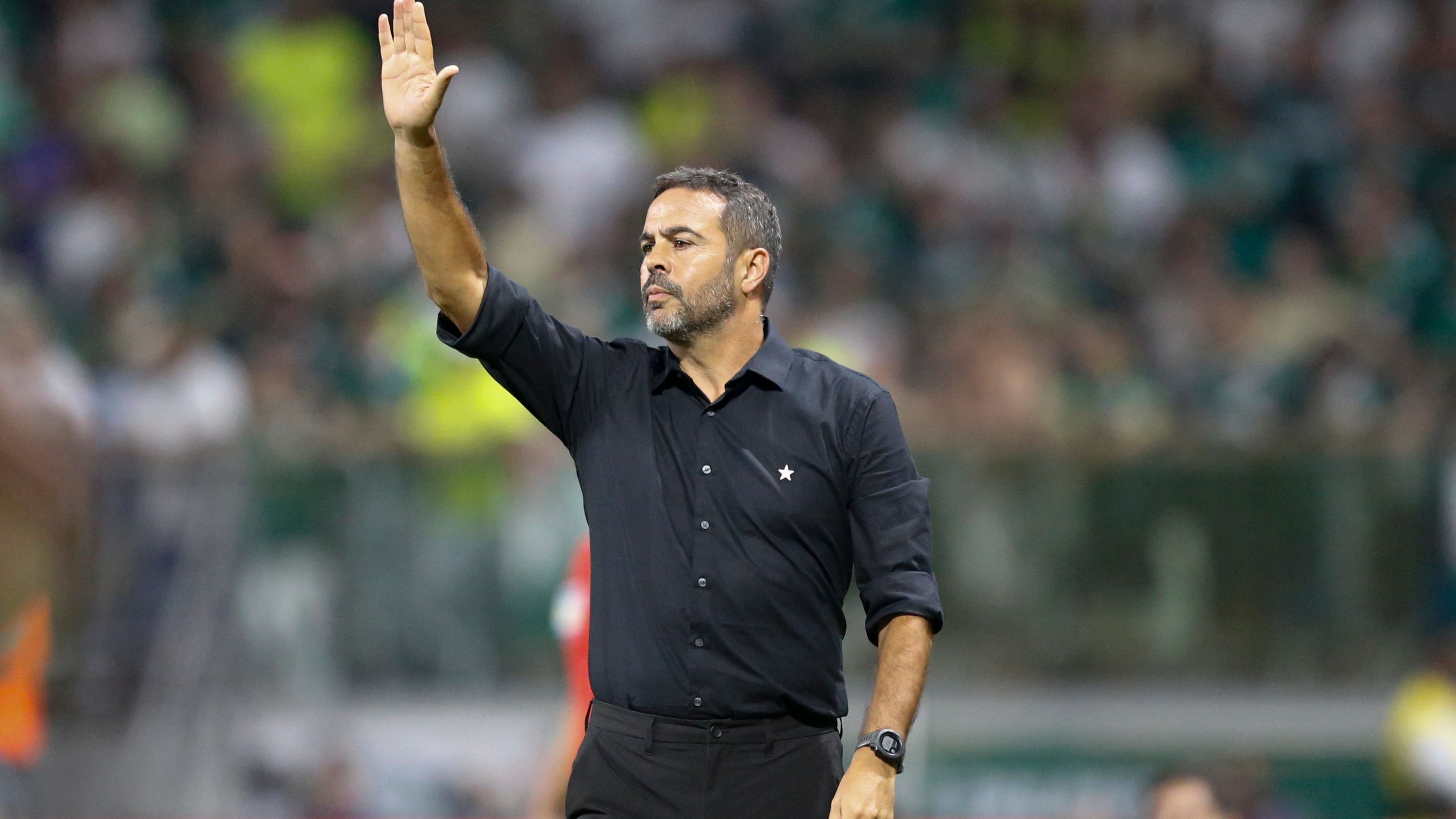 Palmeiras v Botafogo - Brasileirao 2024