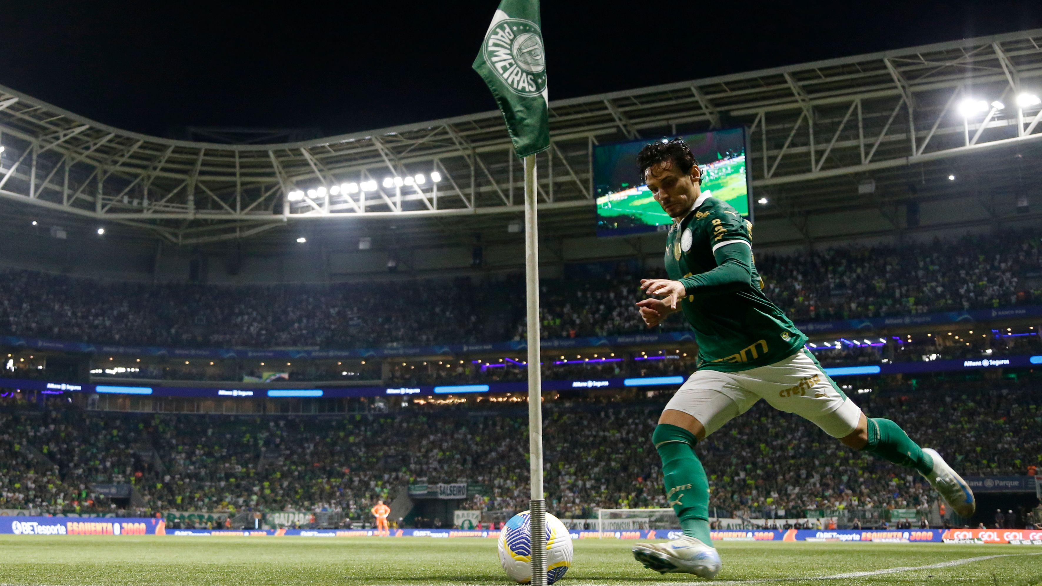 Palmeiras v Botafogo - Brasileirao 2024