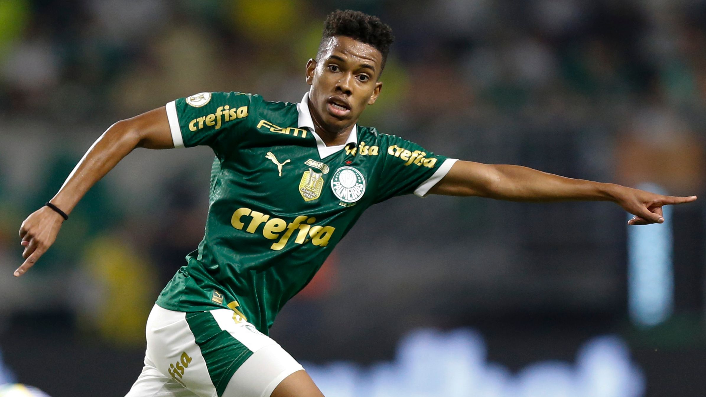 Palmeiras v Botafogo - Brasileirao 2024