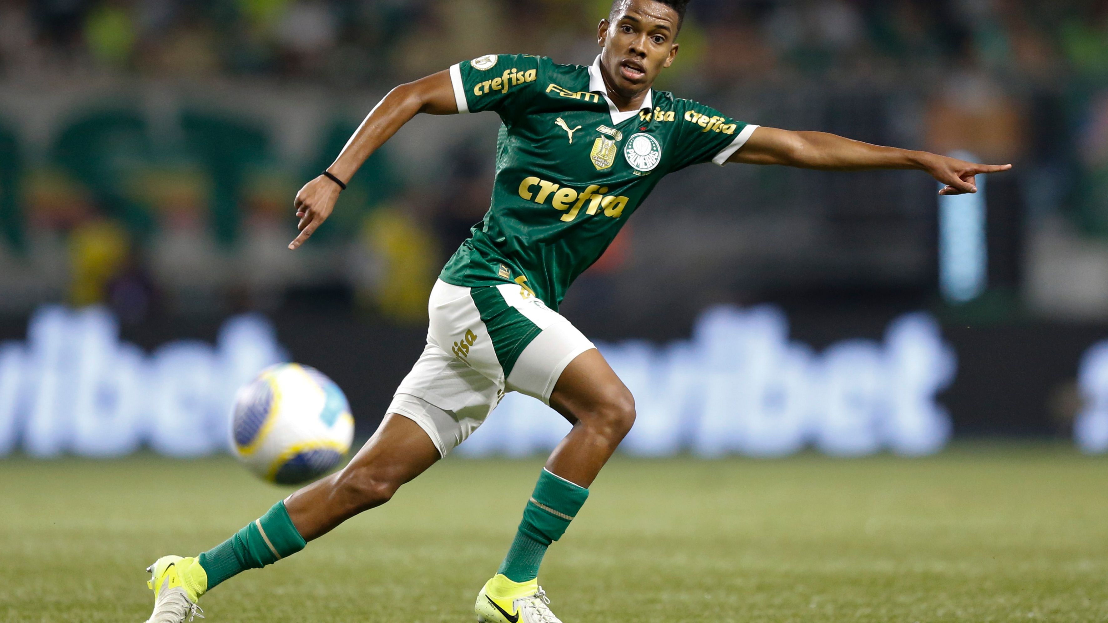 Palmeiras v Botafogo - Brasileirao 2024