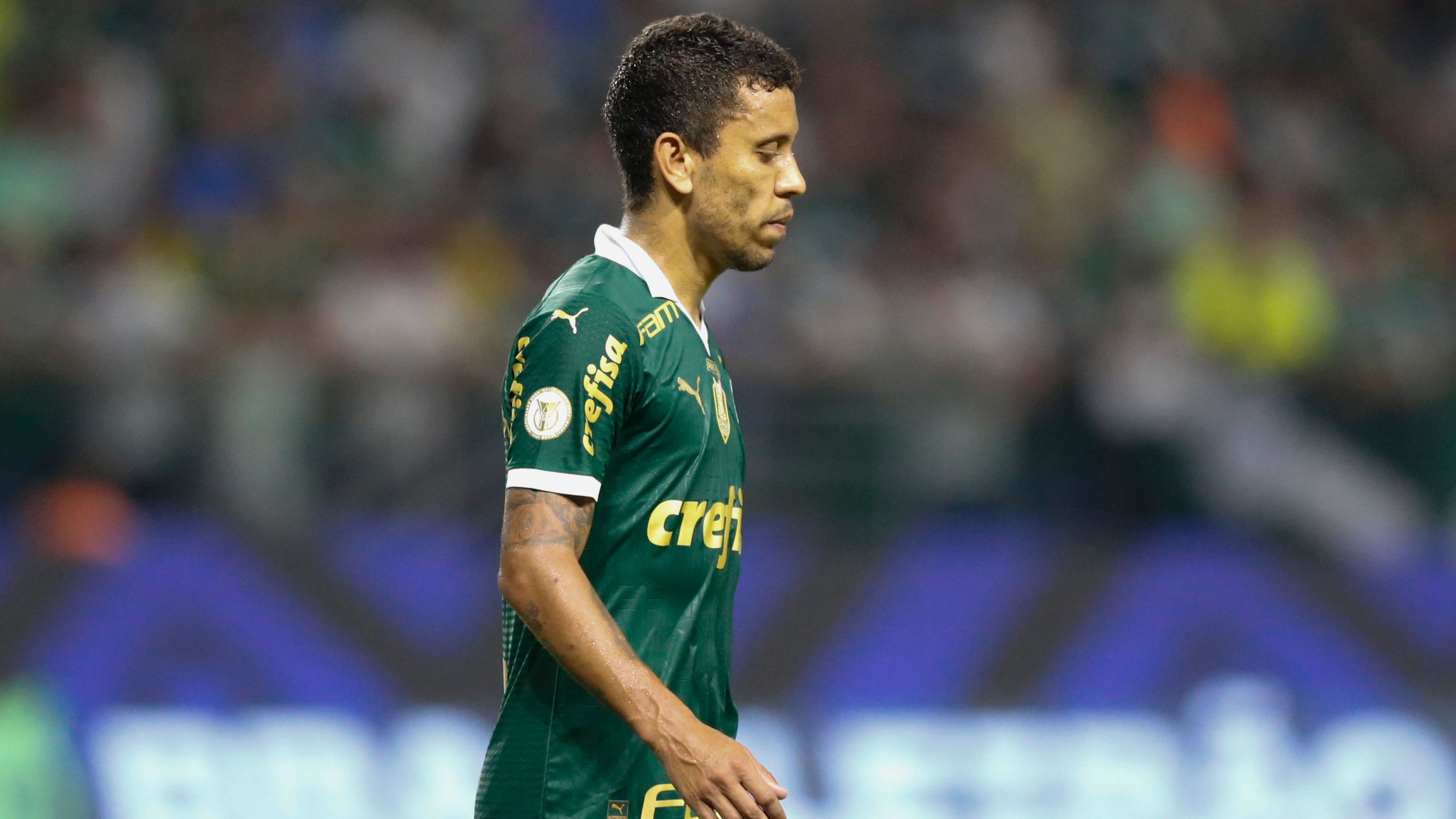 Palmeiras v Botafogo - Brasileirao 2024