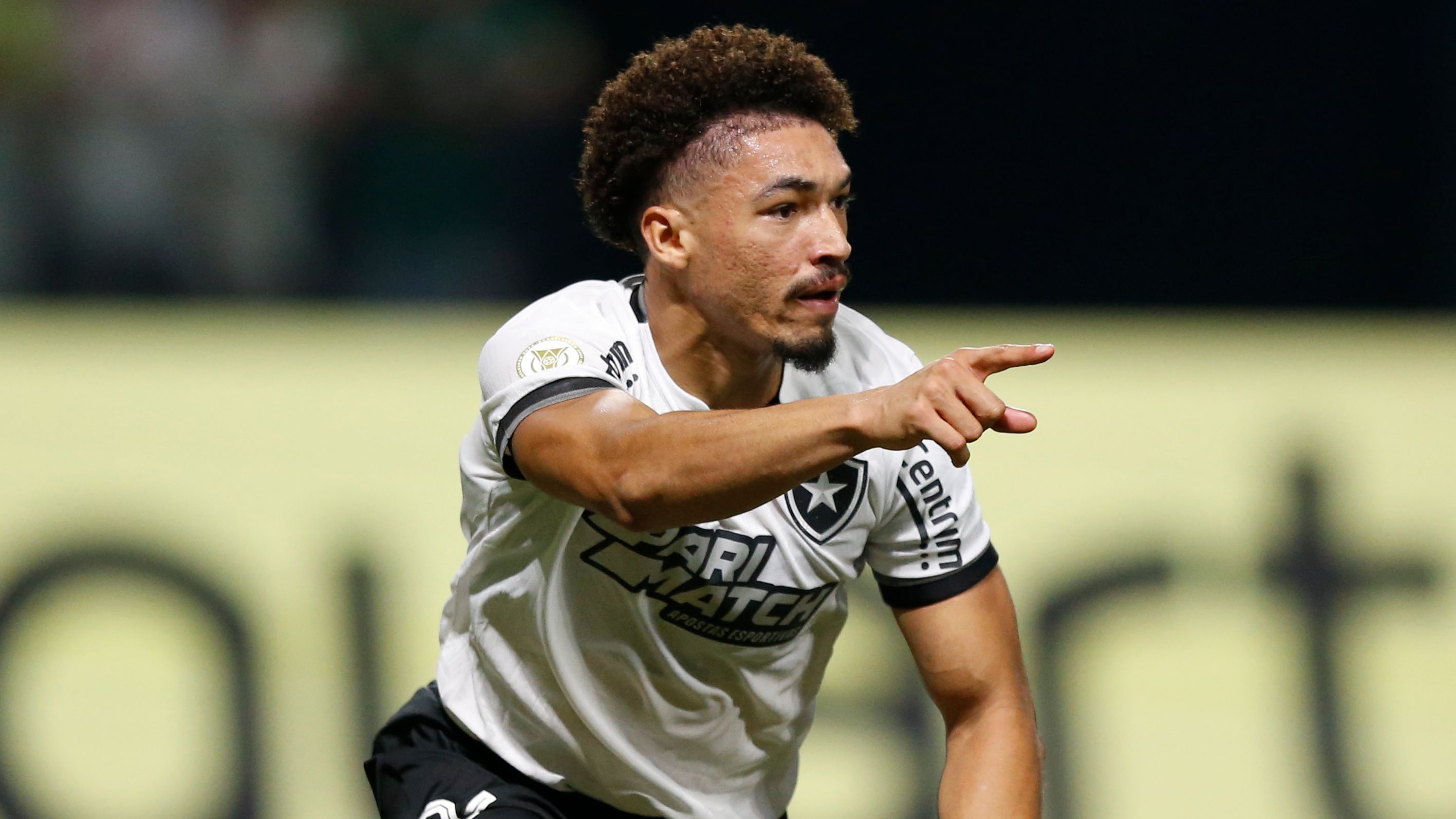 Palmeiras v Botafogo - Brasileirao 2024