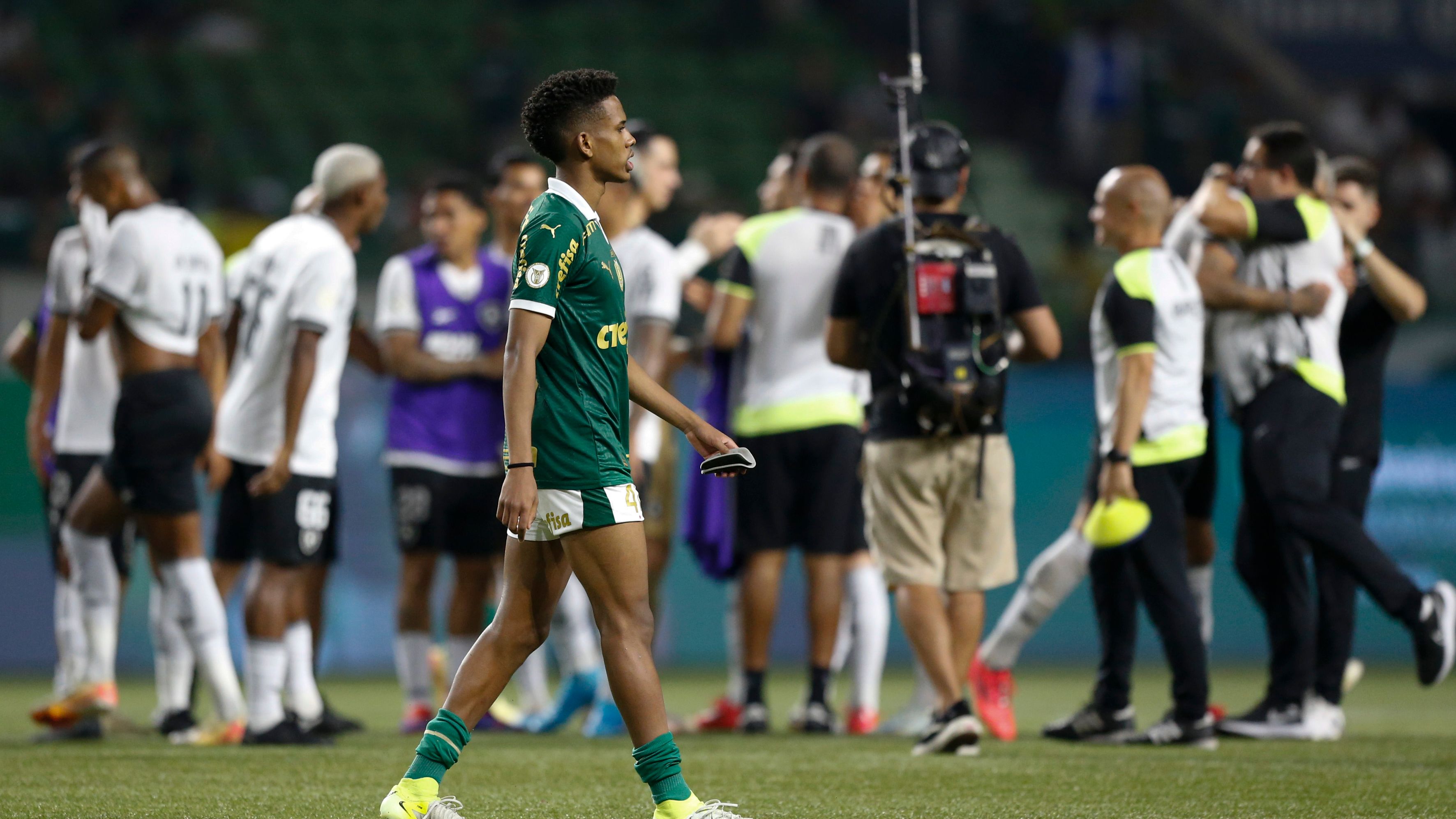 Palmeiras v Botafogo - Brasileirao 2024