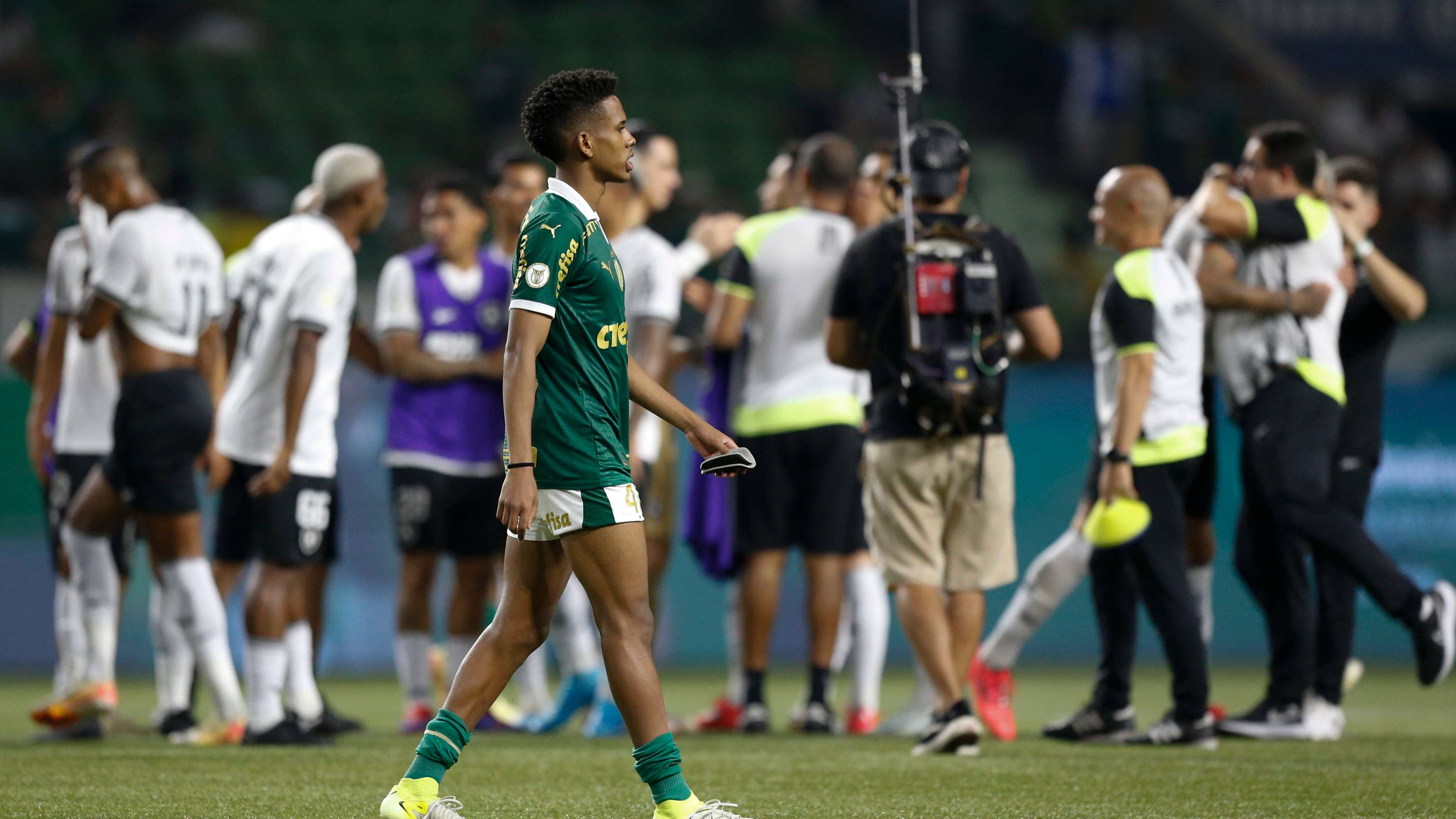 Palmeiras v Botafogo - Brasileirao 2024