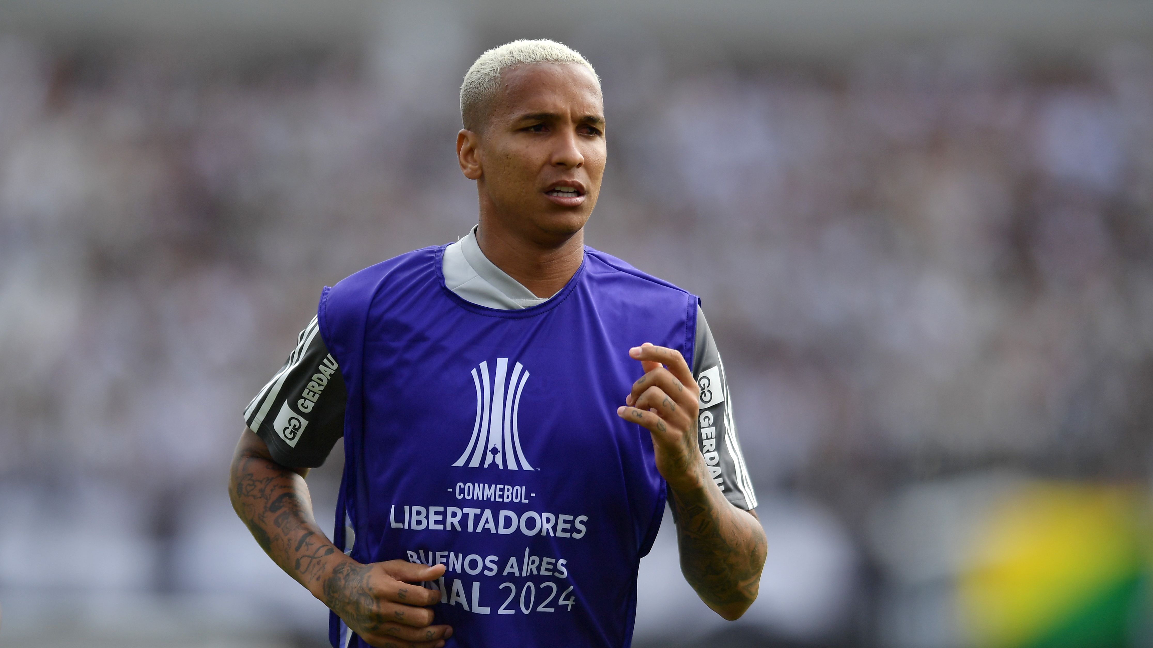 Atletico Mineiro v Botafogo: Final - Copa CONMEBOL Libertadores 2024