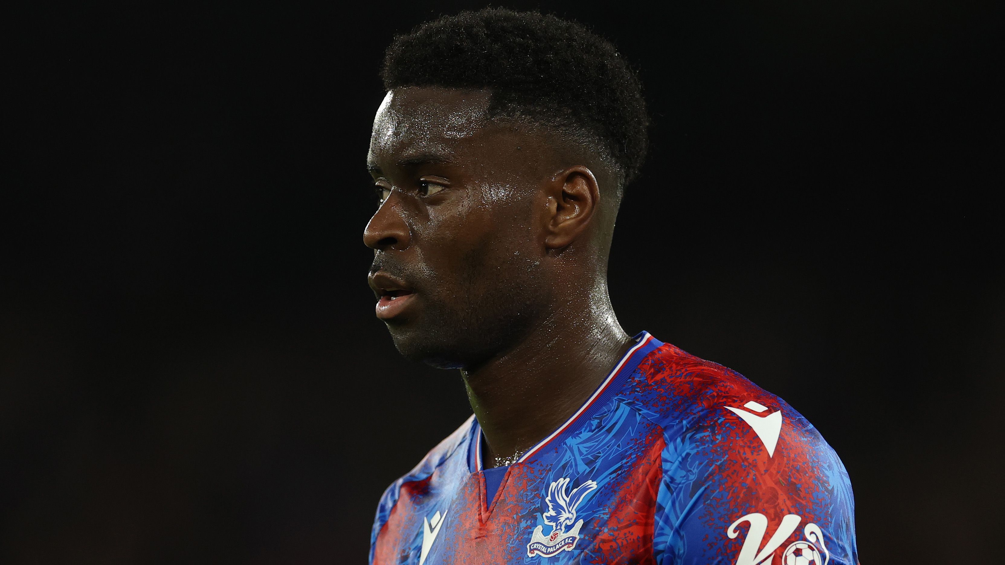 Crystal Palace FC v Newcastle United FC - Premier League