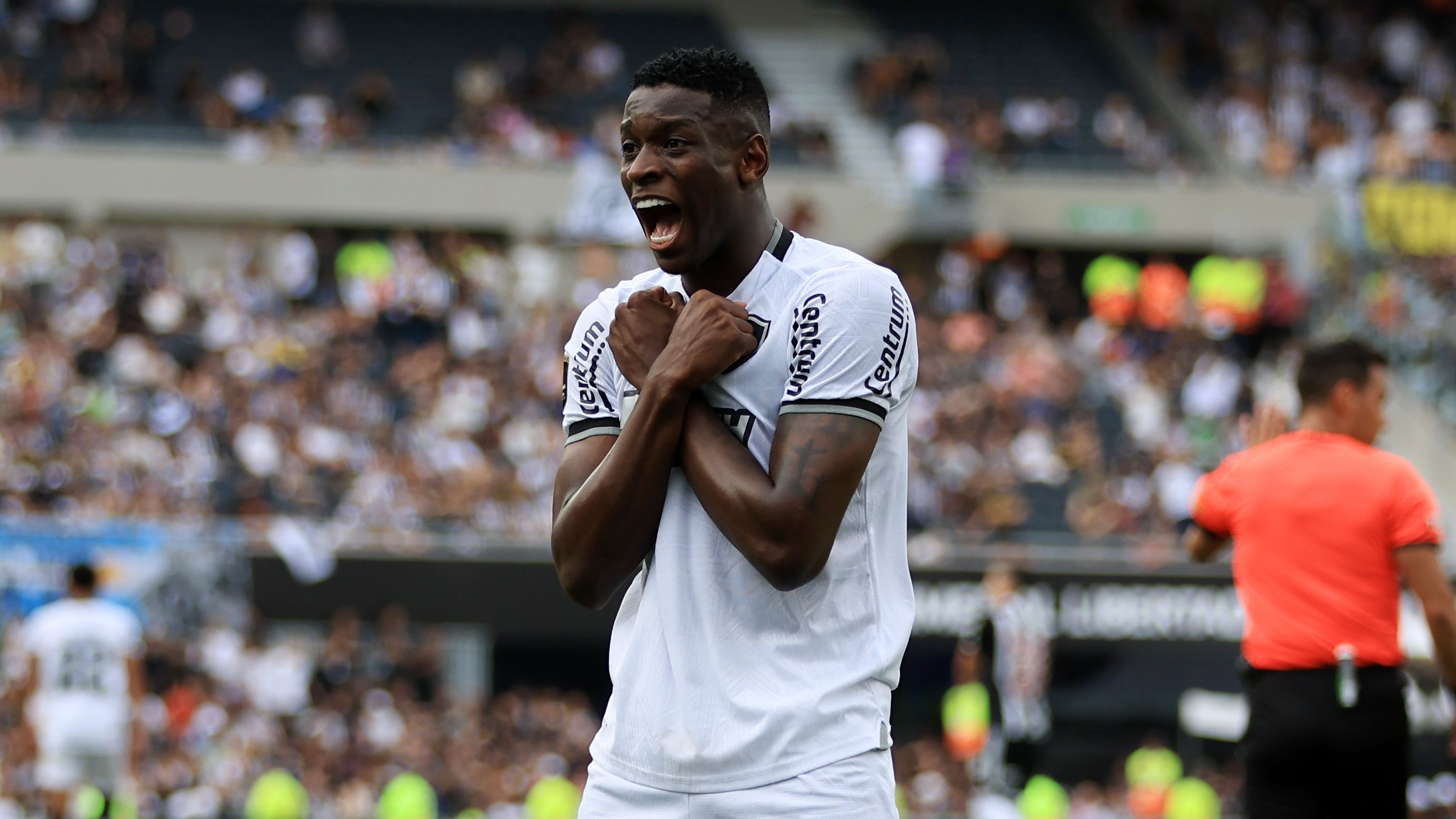 Atletico Mineiro v Botafogo: Final - Copa CONMEBOL Libertadores 2024