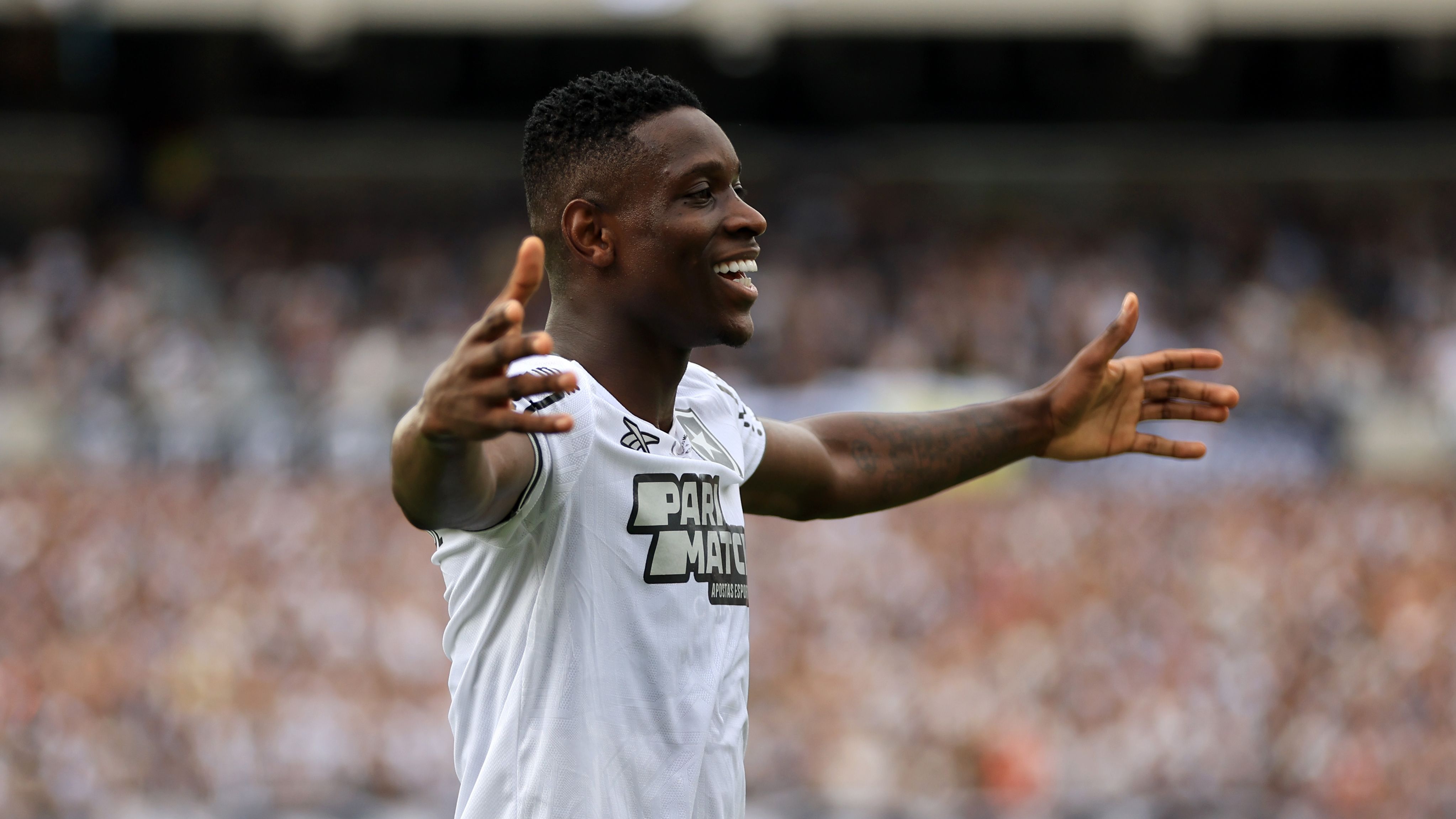 Atletico Mineiro v Botafogo: Final - Copa CONMEBOL Libertadores 2024