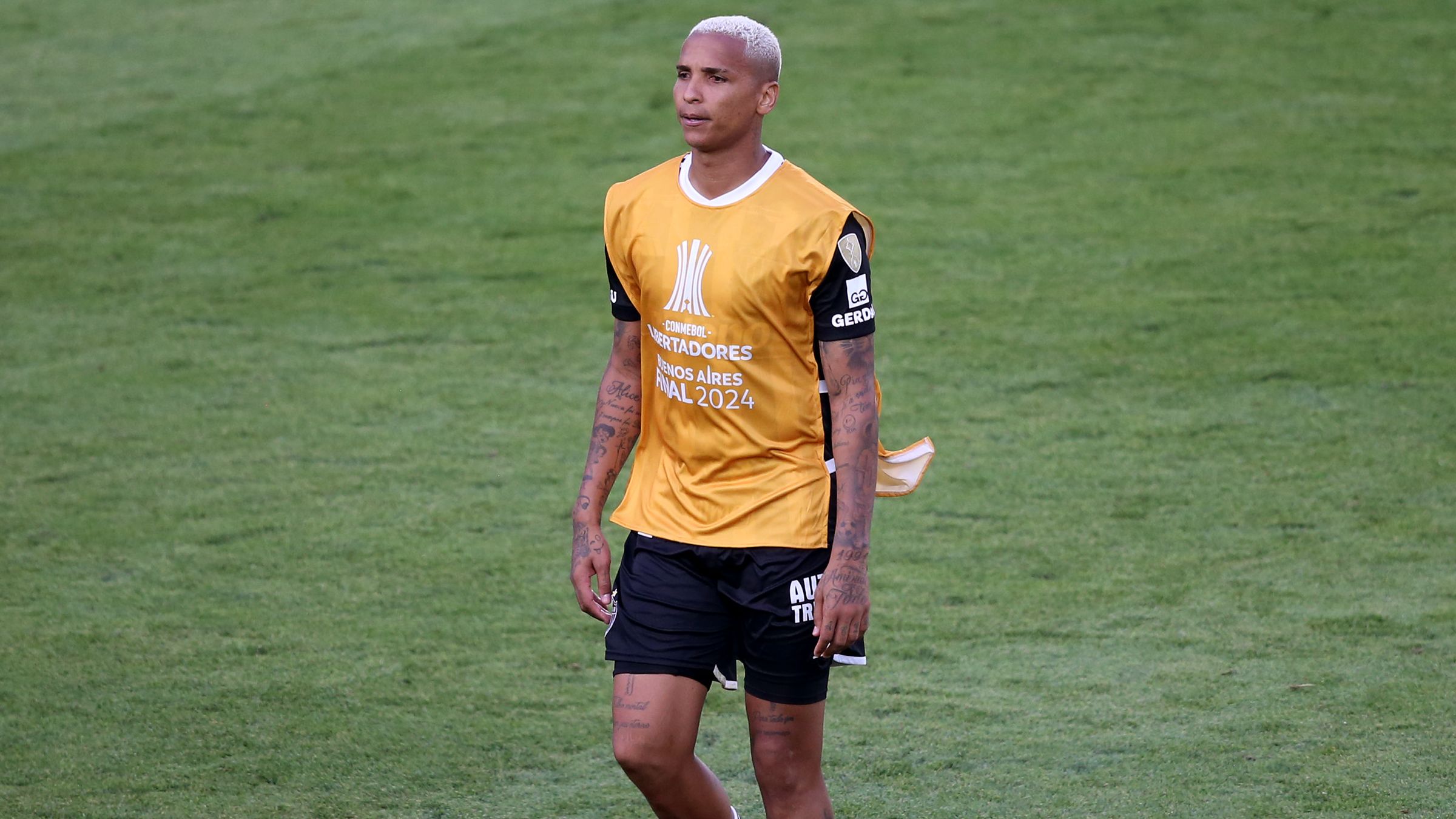 Atletico Mineiro v Botafogo: Final - Copa CONMEBOL Libertadores 2024