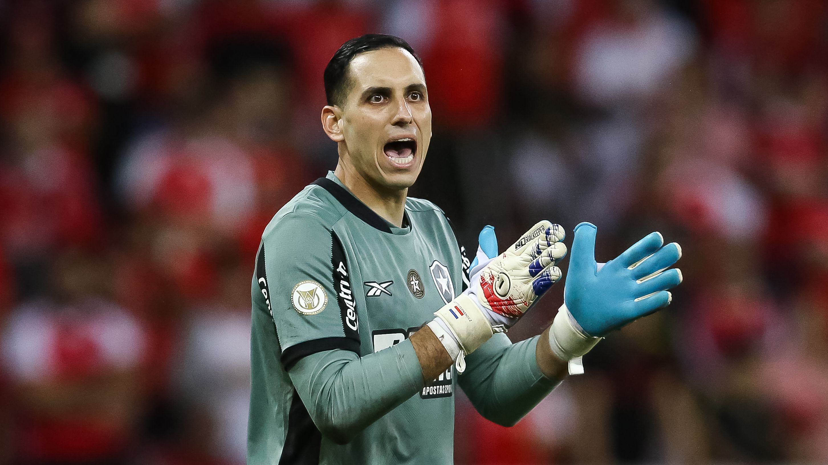 Internacional v Botafogo - Brasileirao 2024