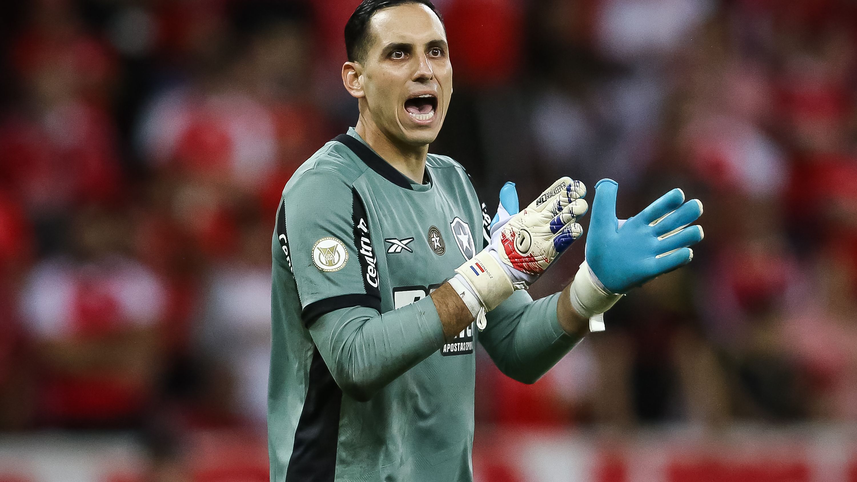 Internacional v Botafogo - Brasileirao 2024