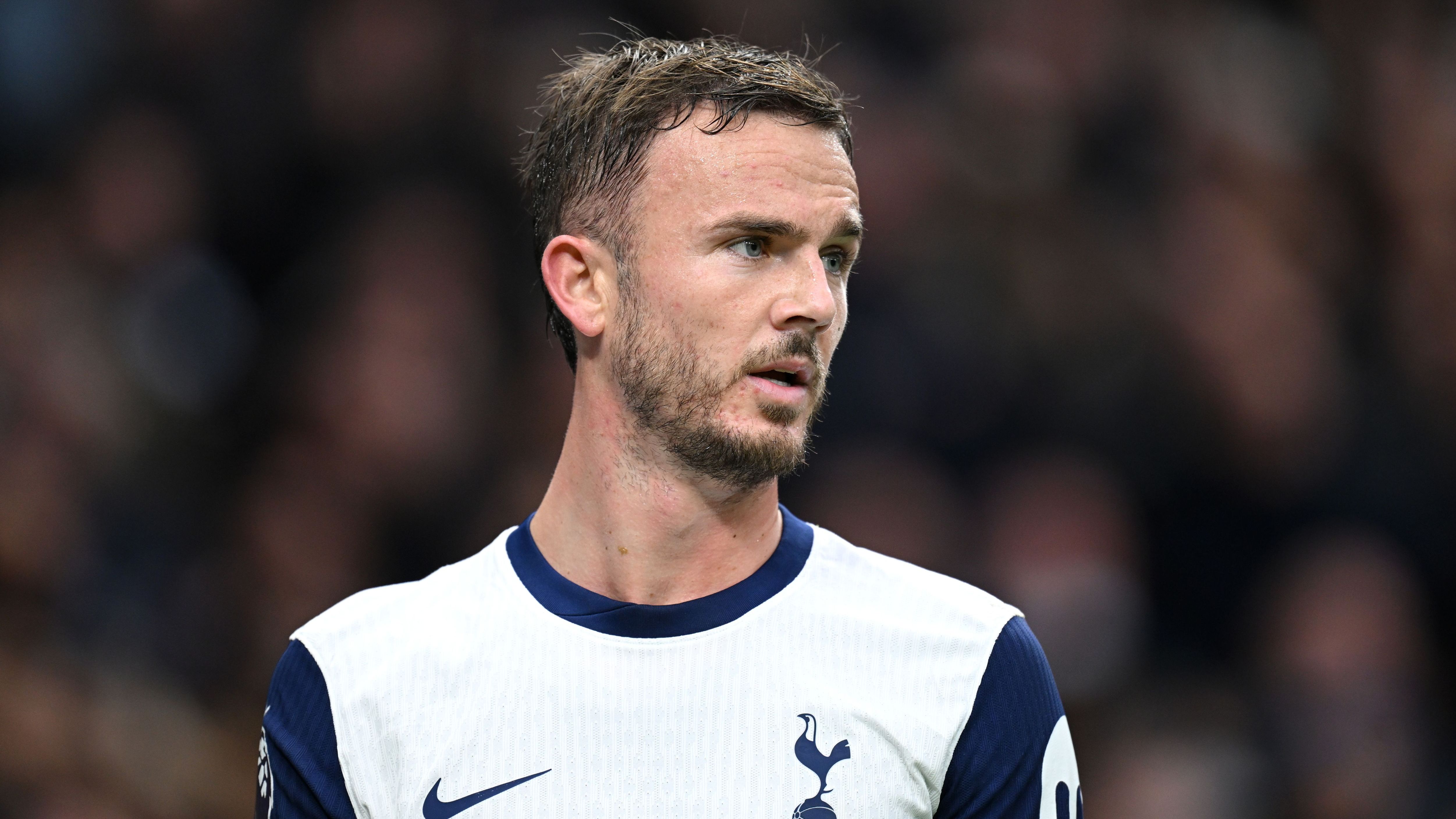 Tottenham Hotspur FC v Fulham FC - Premier League