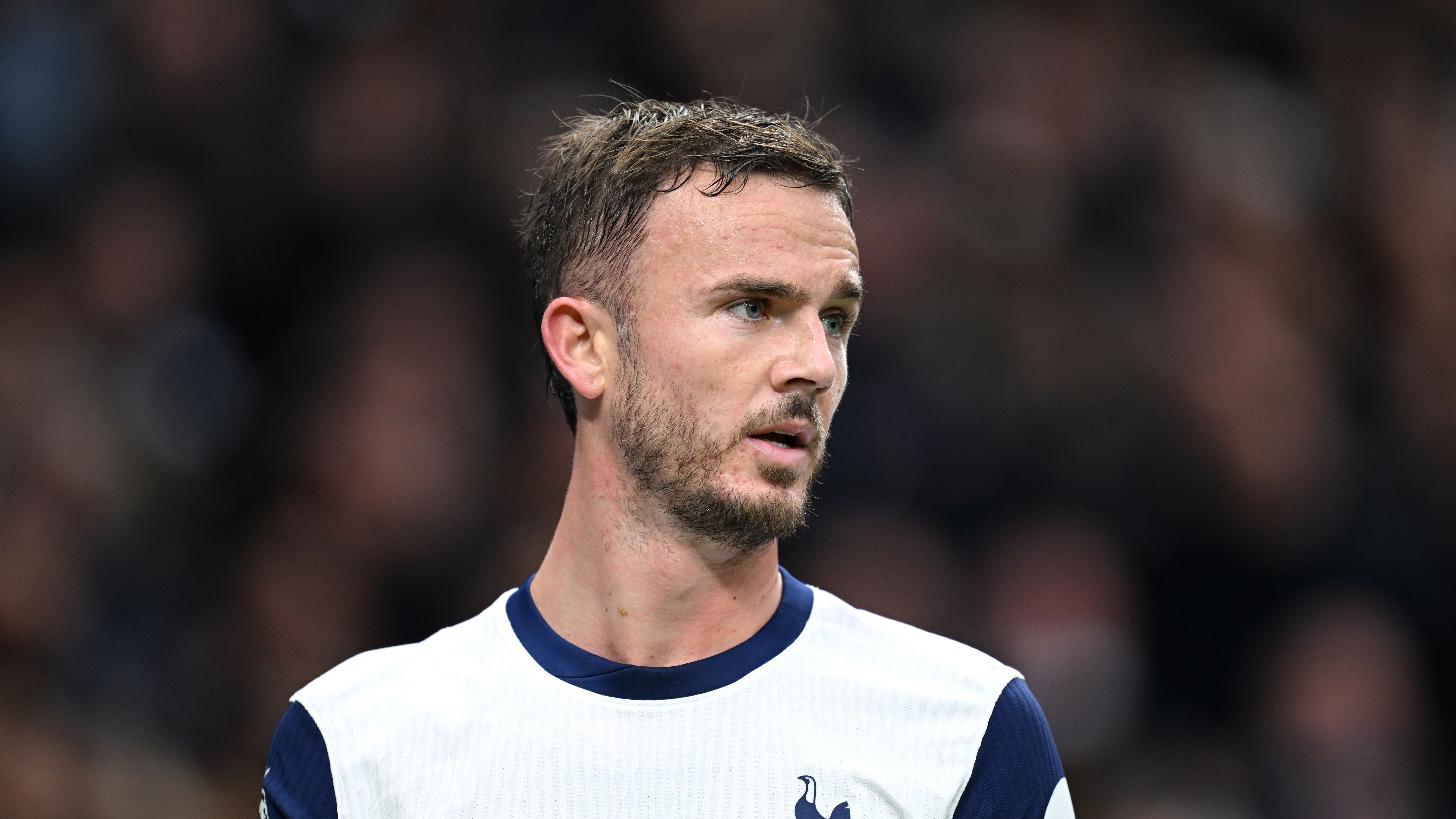 Tottenham Hotspur FC v Fulham FC - Premier League