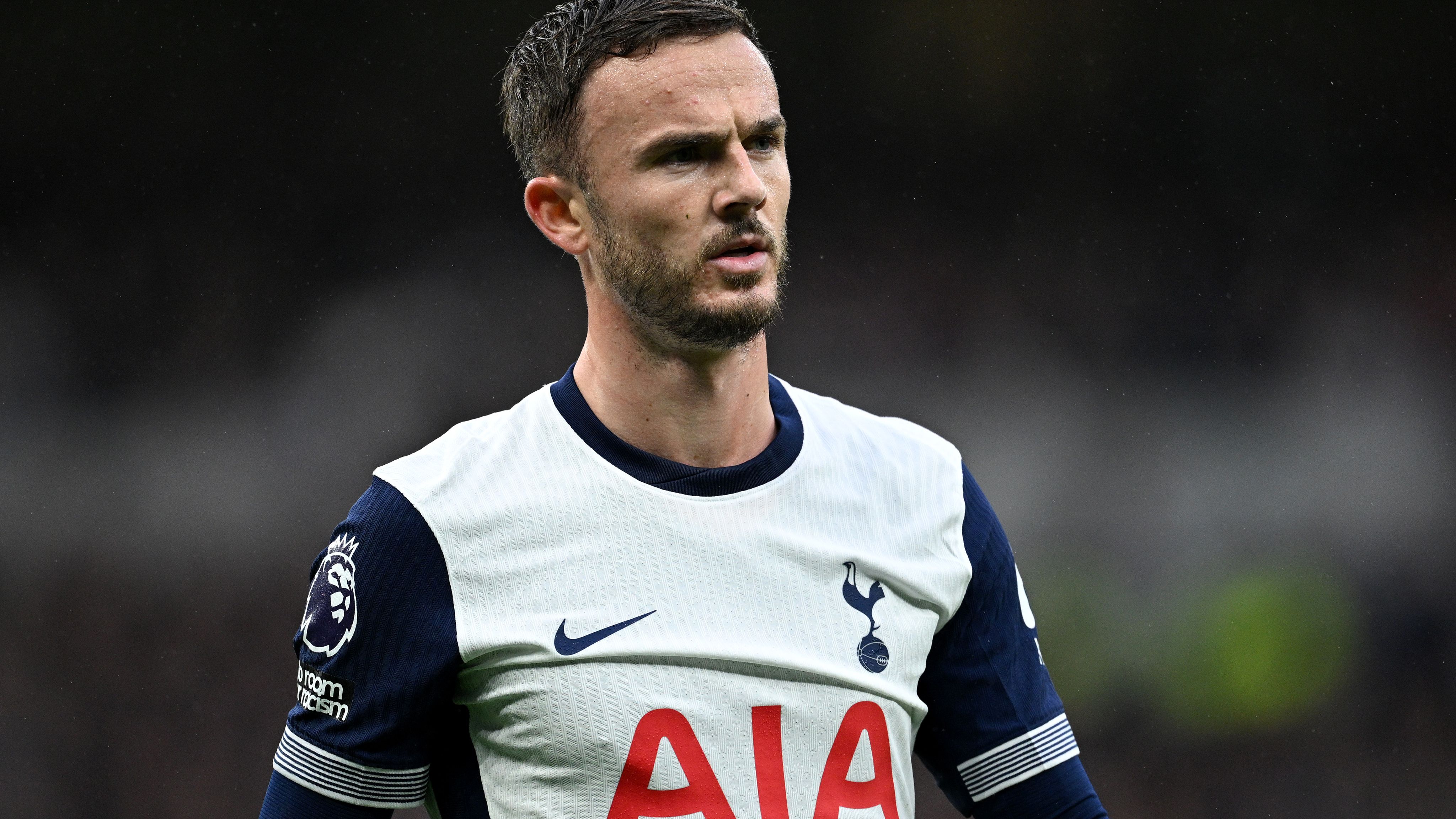 Tottenham Hotspur FC v Fulham FC - Premier League