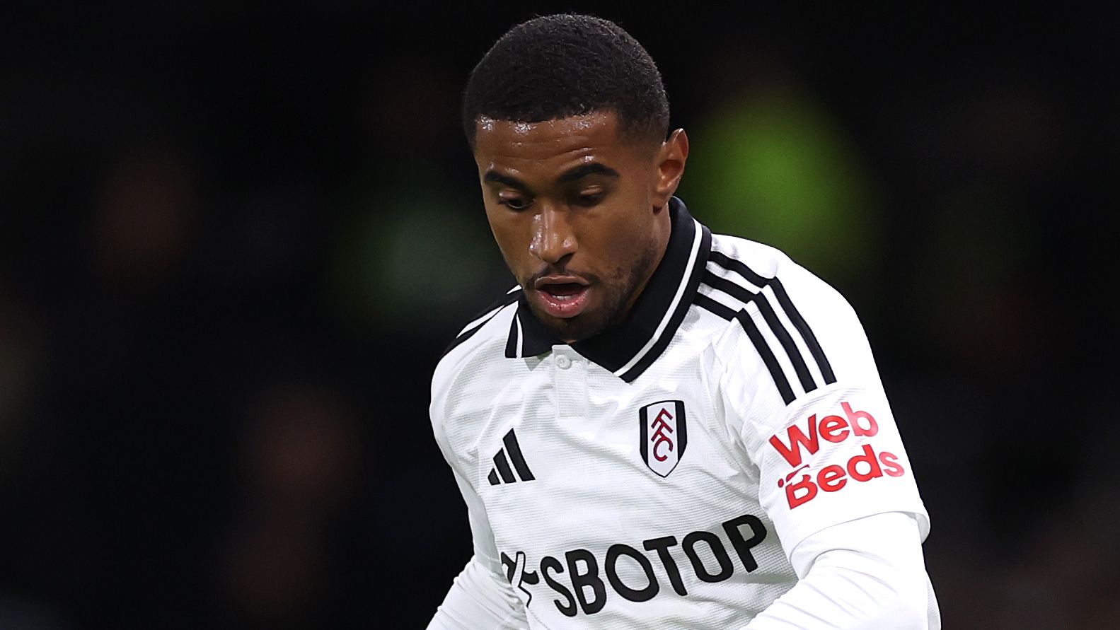Fulham FC v Brighton & Hove Albion FC - Premier League