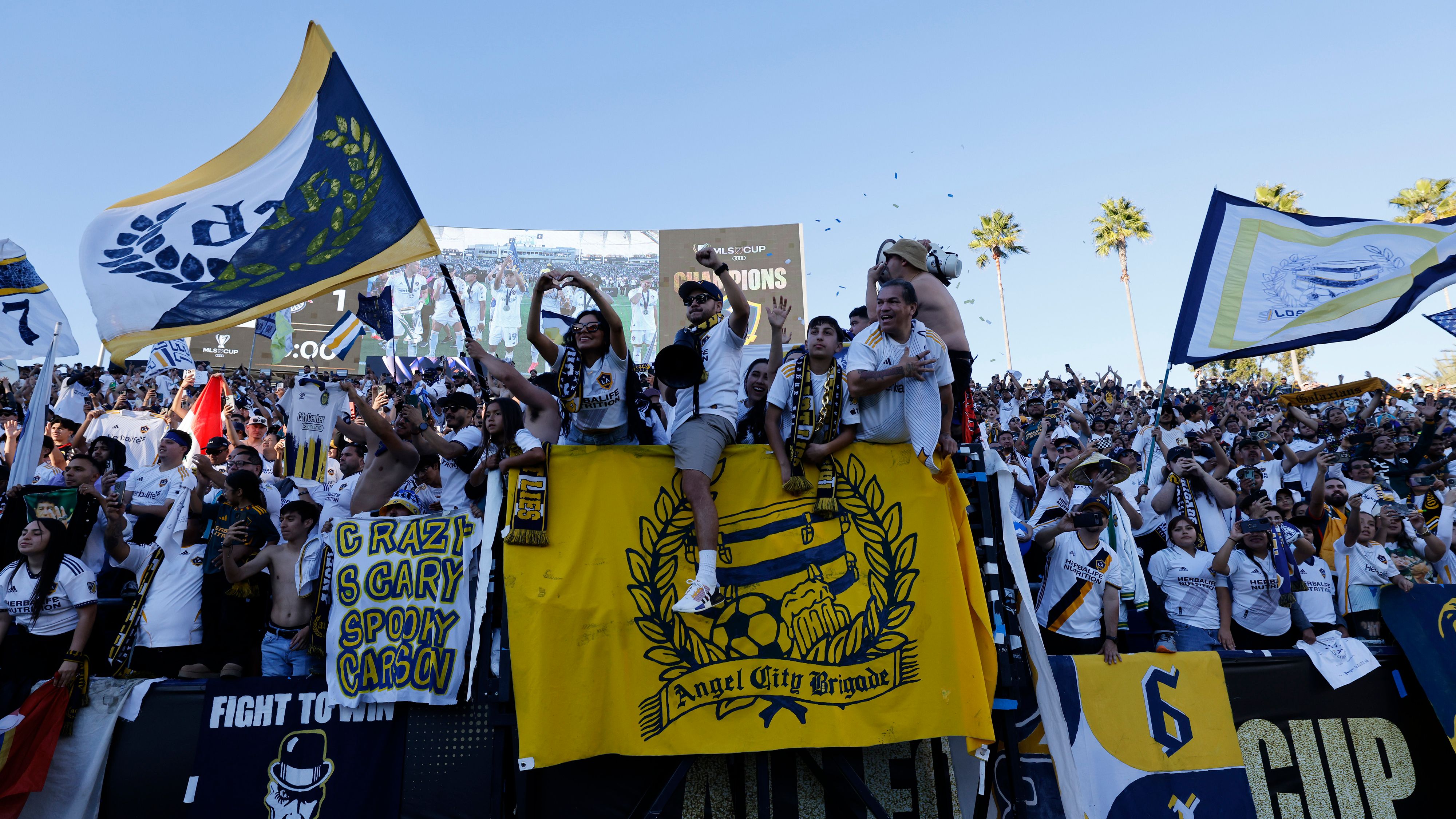 LA Galaxy v New York Red Bull: Final - MLS Cup 2024