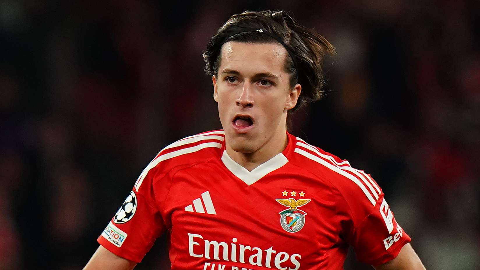 SL Benfica v Bologna FC 1909 - UEFA Champions League 2024/25 League Phase MD6