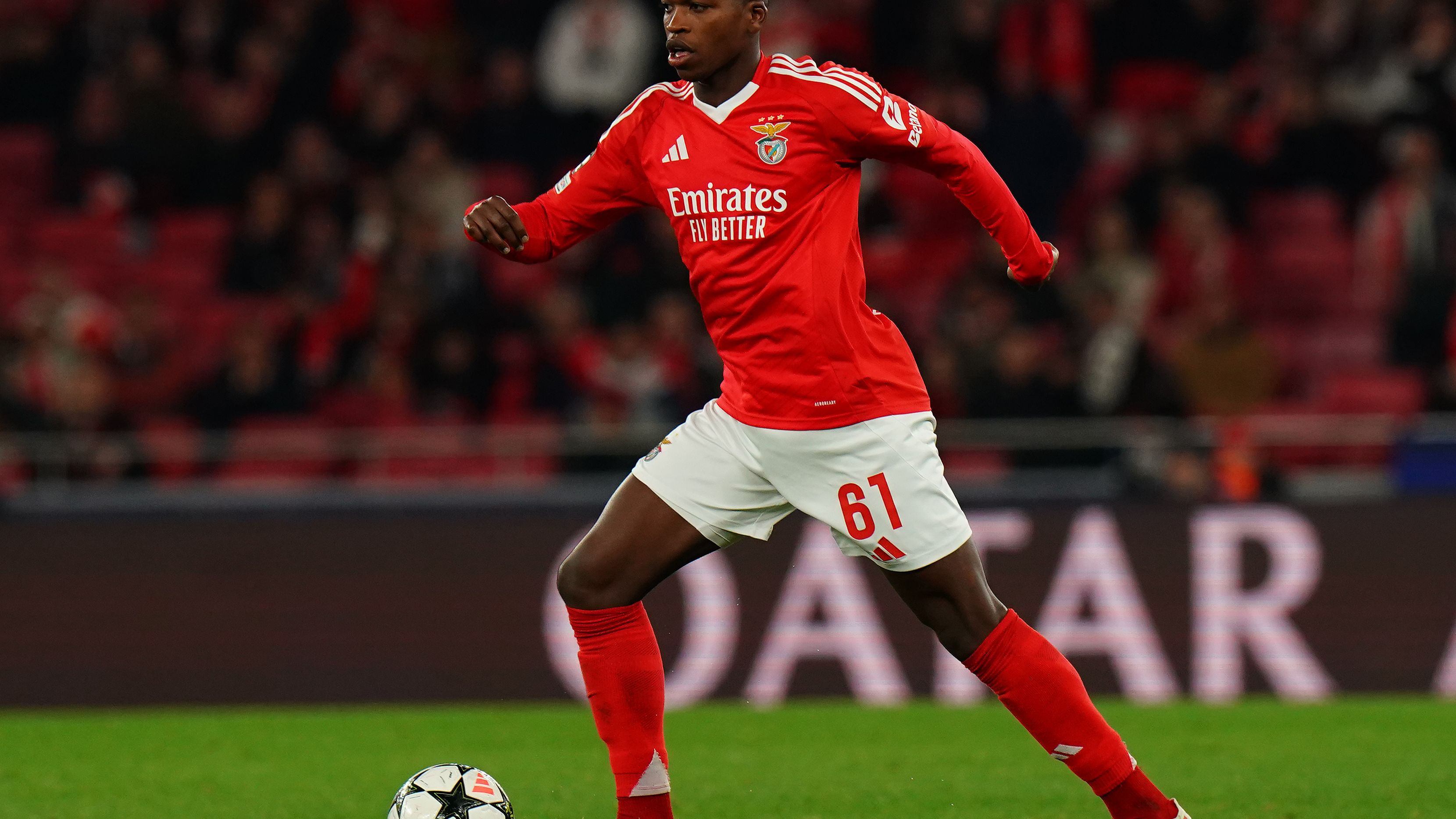 SL Benfica v Bologna FC 1909 - UEFA Champions League 2024/25 League Phase MD6