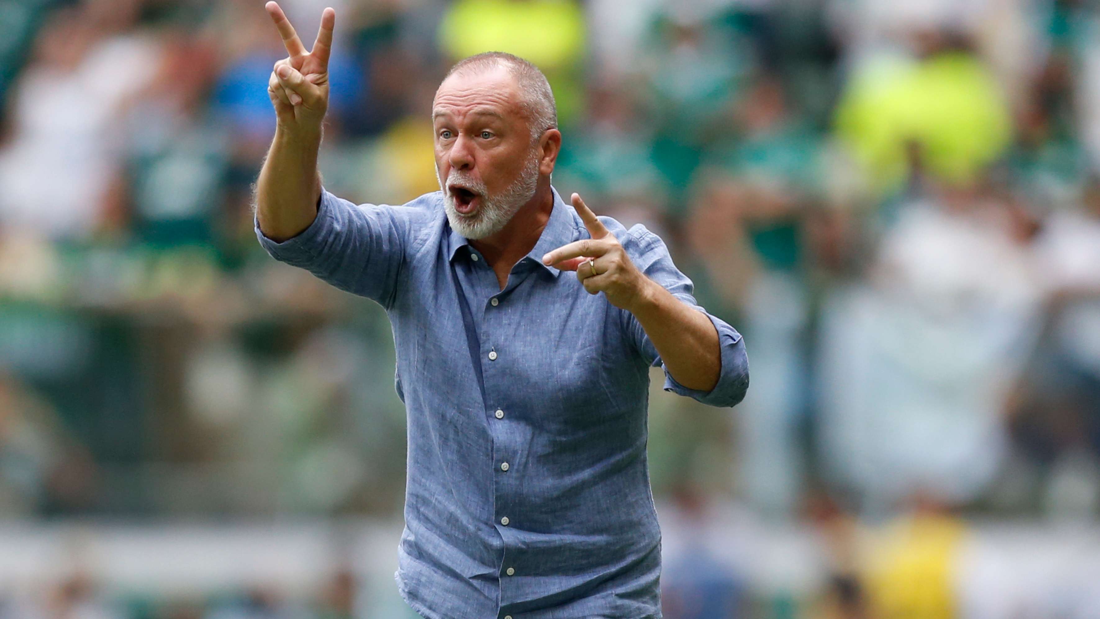 Palmeiras v Fluminense - Brasileirao 2024