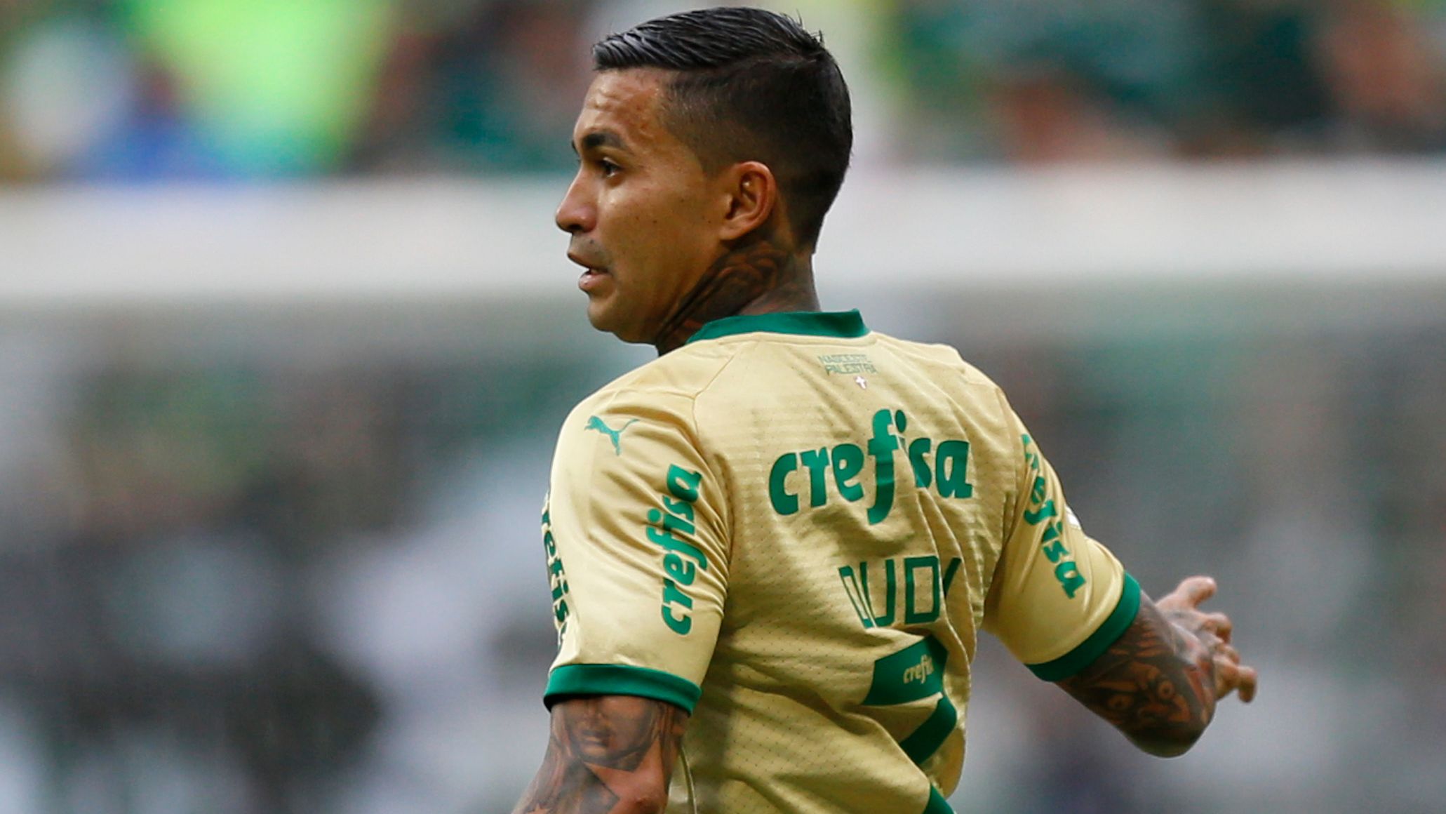 Palmeiras v Fluminense - Brasileirao 2024