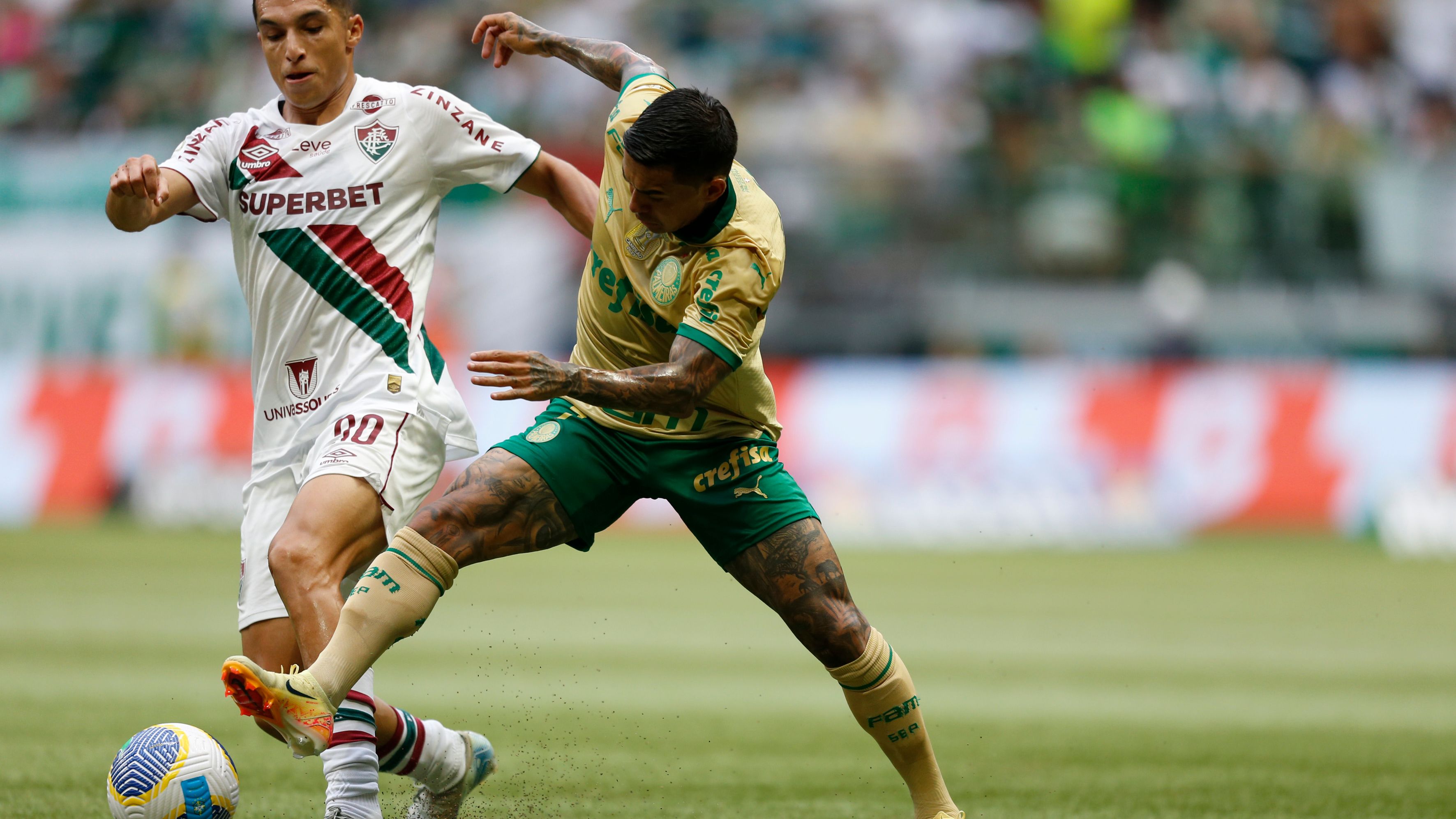 Palmeiras v Fluminense - Brasileirao 2024