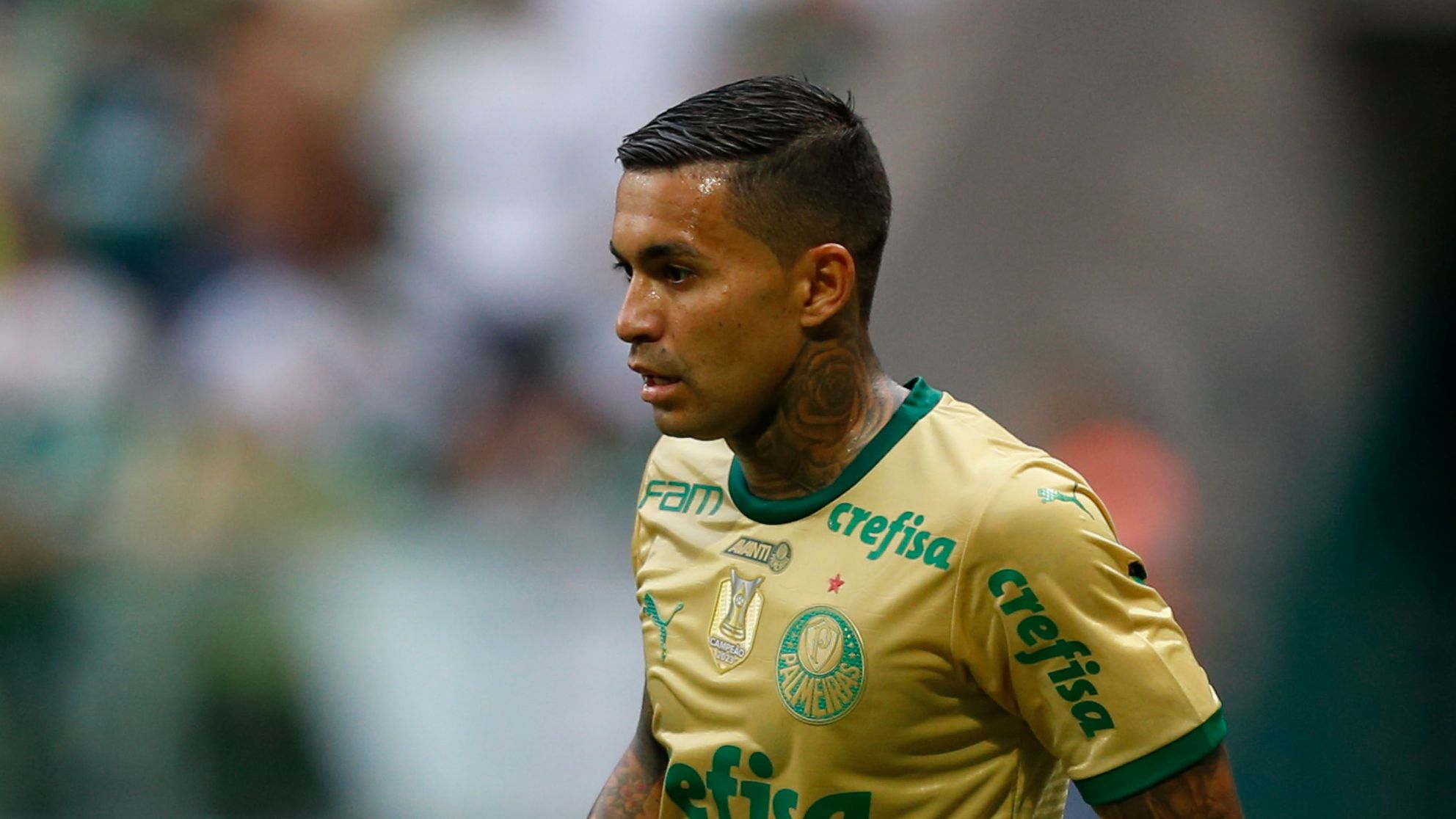 Palmeiras v Fluminense - Brasileirao 2024