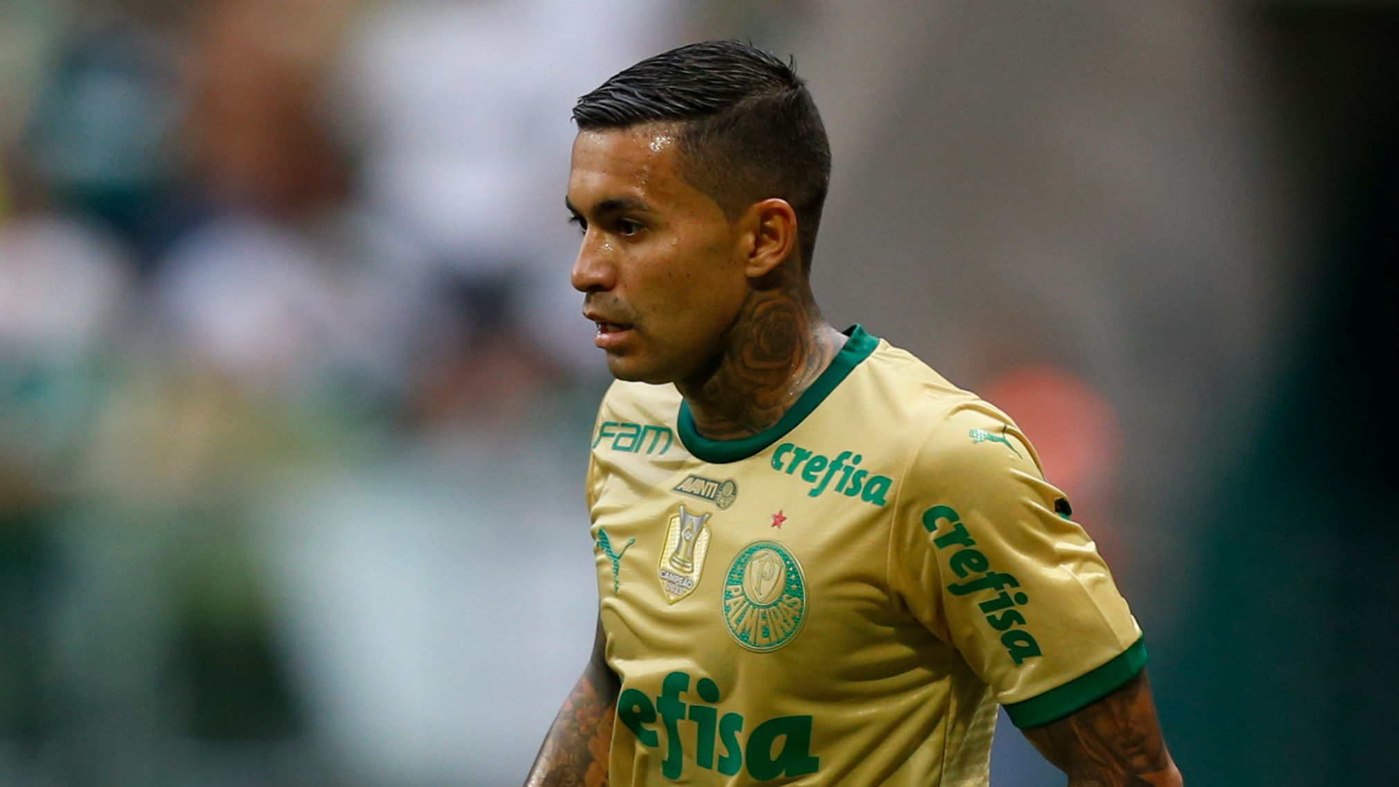 Palmeiras v Fluminense - Brasileirao 2024
