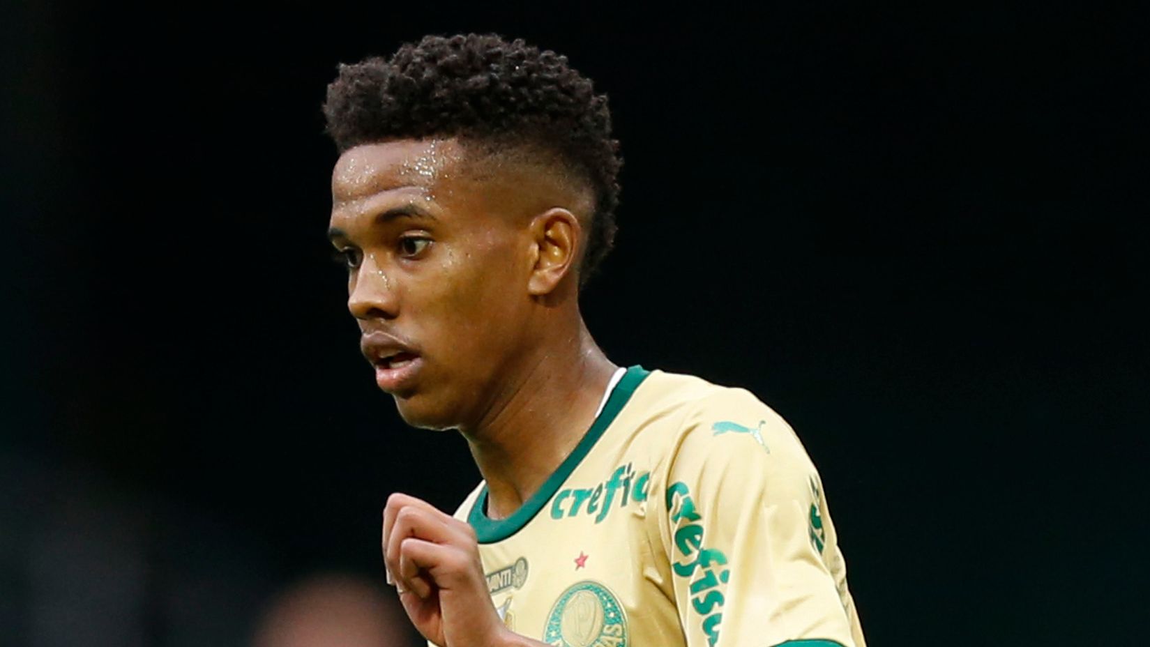 Palmeiras v Fluminense - Brasileirao 2024