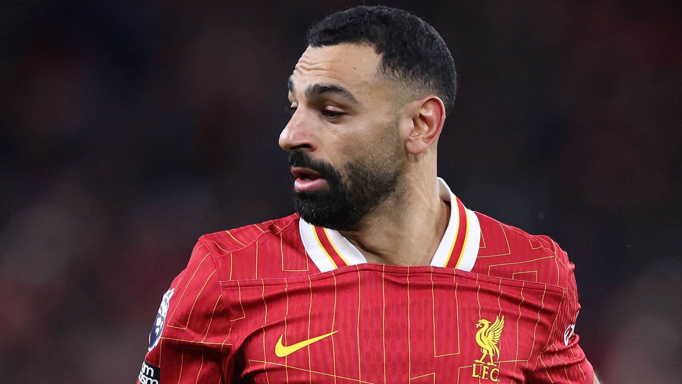 Liverpool FC v Fulham FC - Premier League