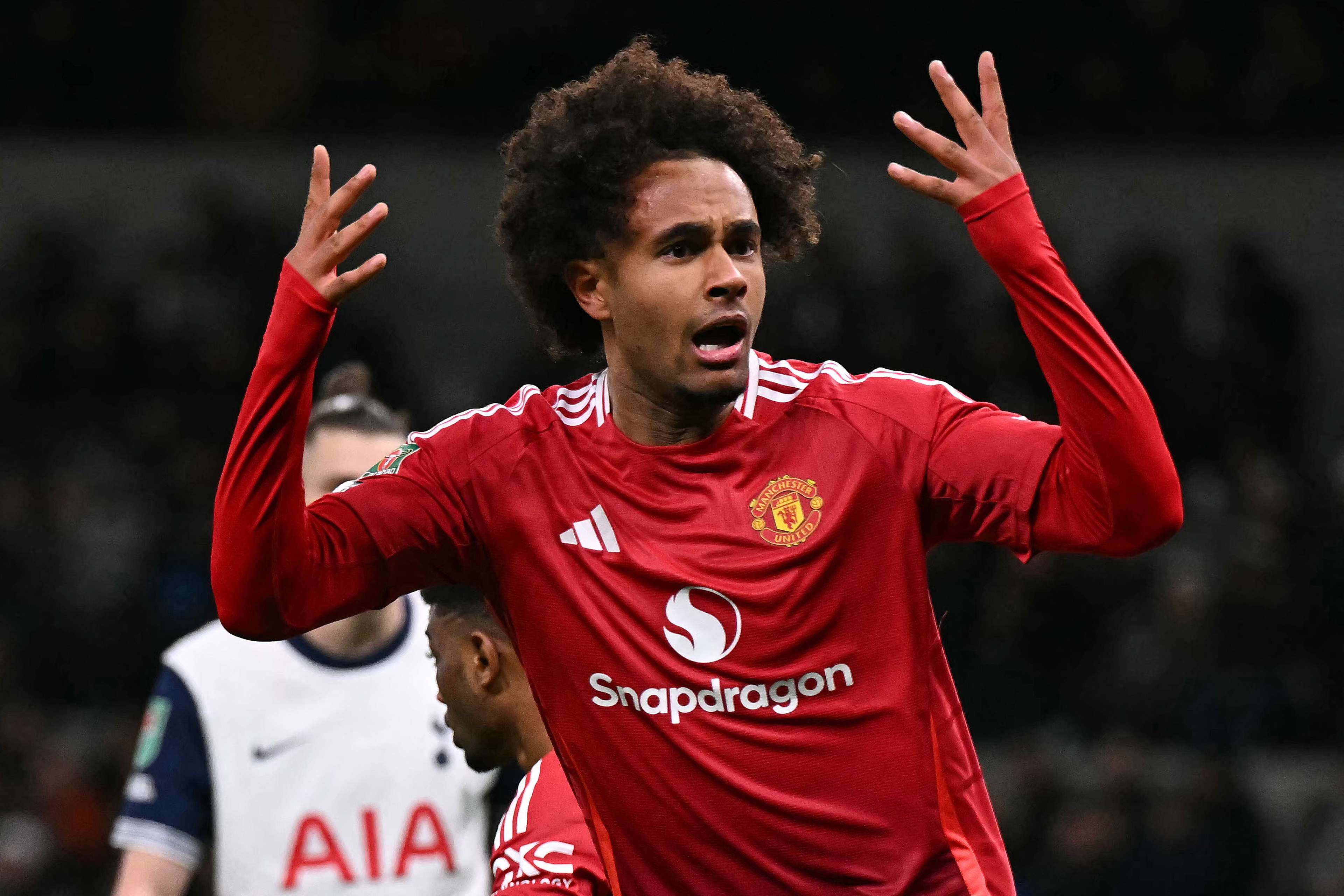 FBL-ENG-LCUP-TOTTENHAM-MAN UTD