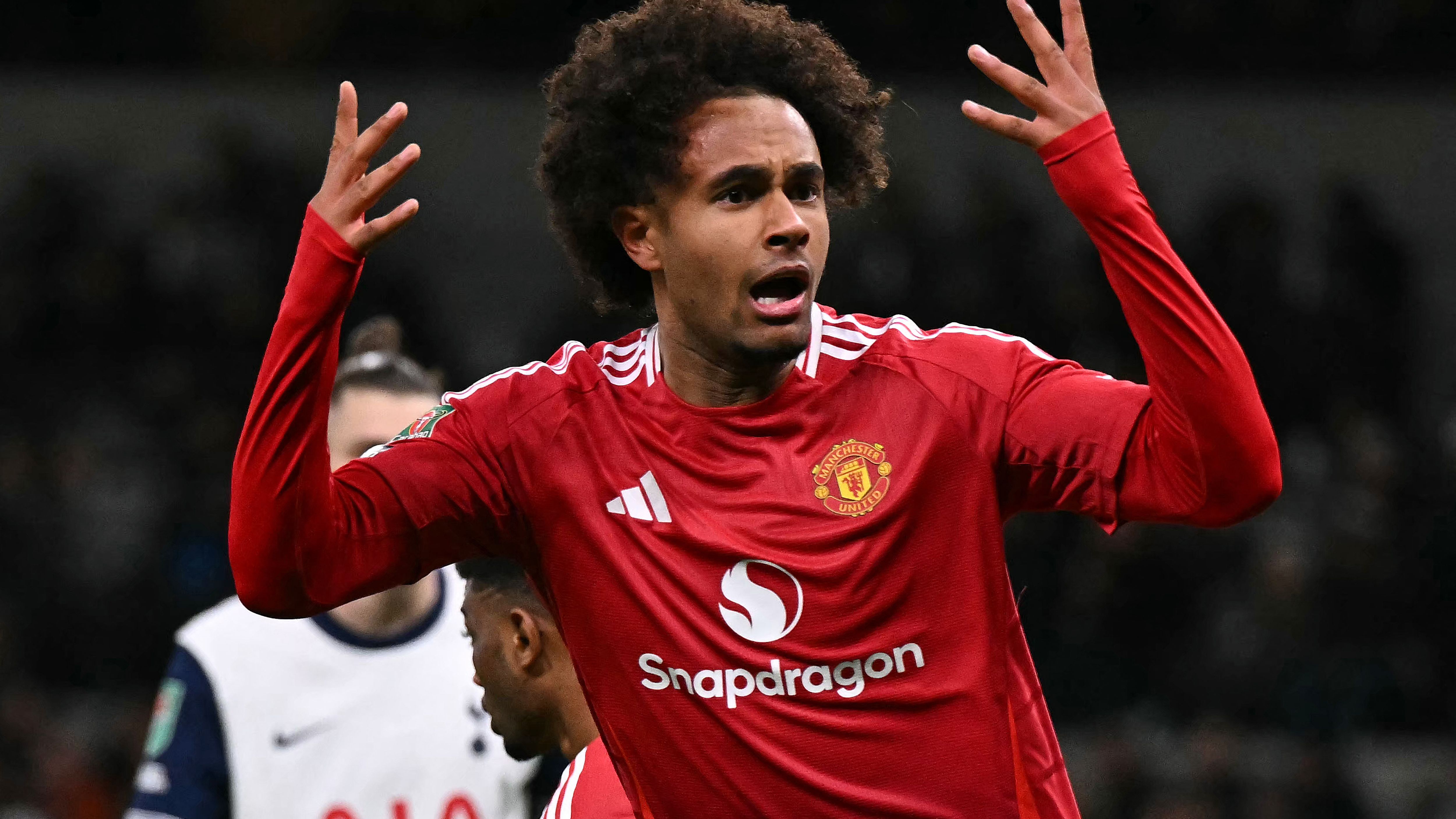 FBL-ENG-LCUP-TOTTENHAM-MAN UTD