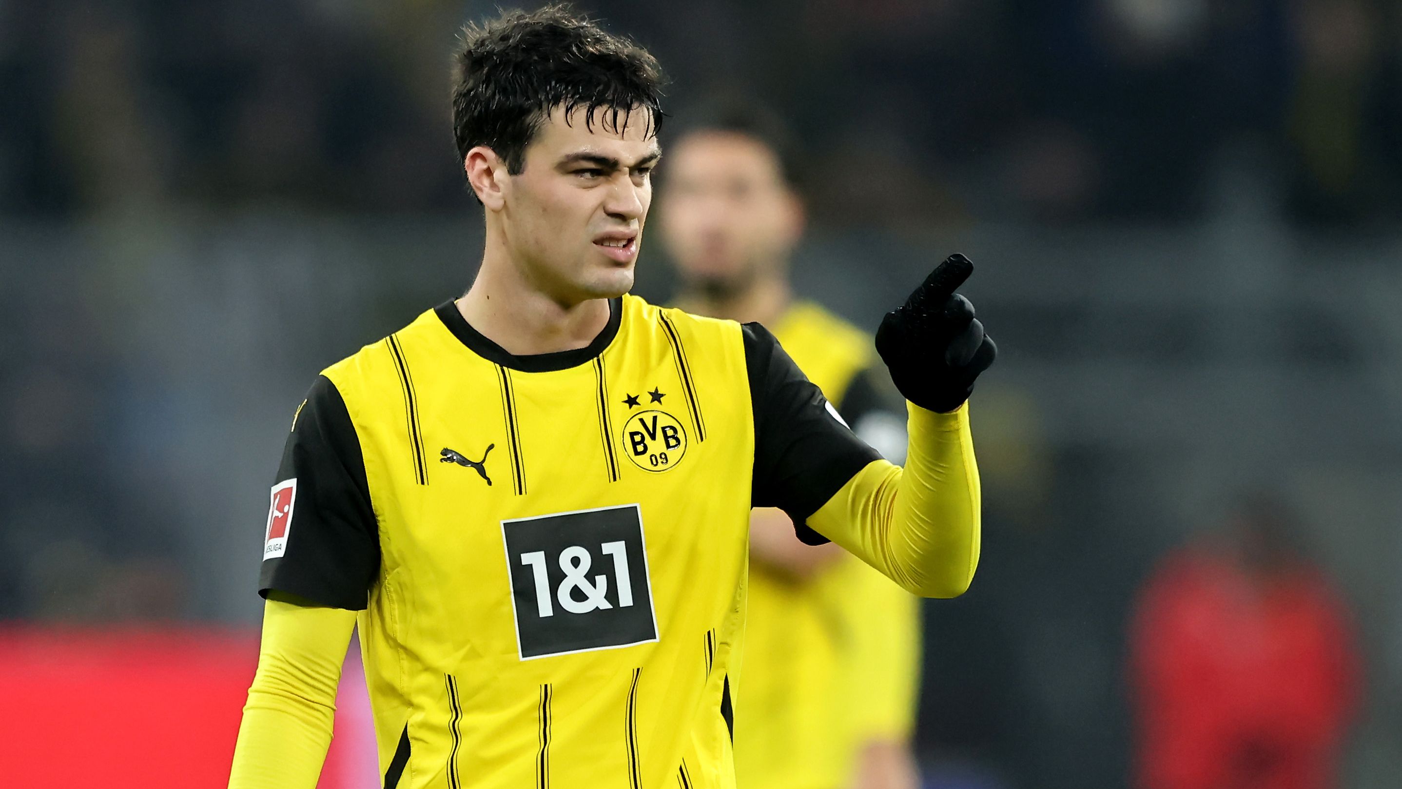 Borussia Dortmund v TSG 1899 Hoffenheim - Bundesliga